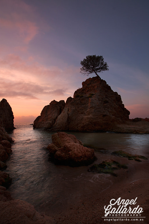 Canon EOS 40D + Canon EF-S 10-18mm F4.5–5.6 IS STM sample photo. Mar menuda photography