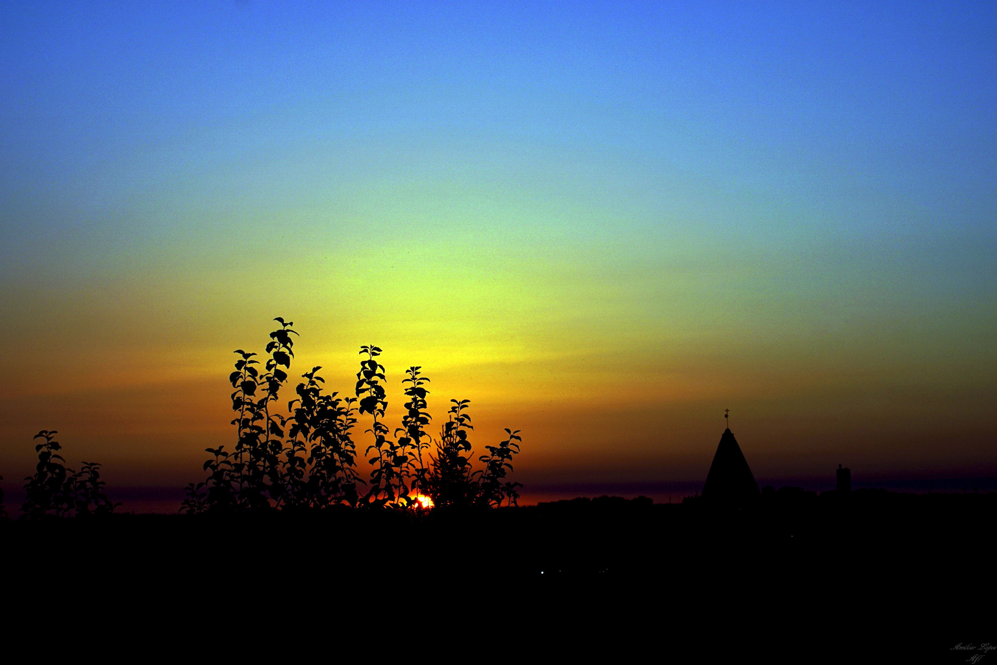 Sony DT 18-70mm F3.5-5.6 sample photo. Janela photography