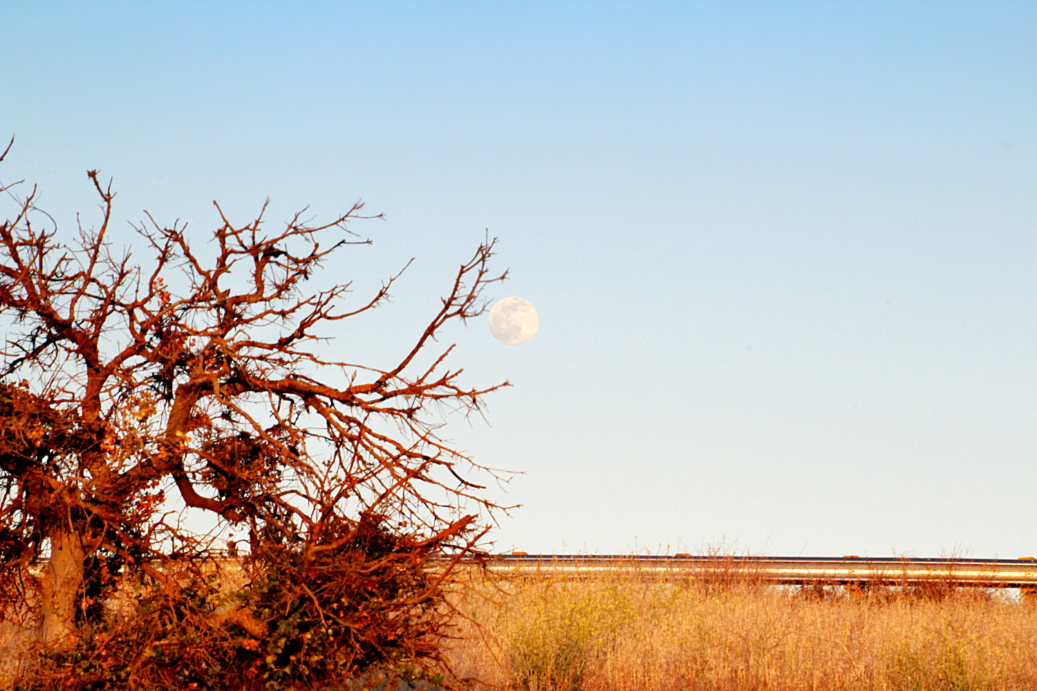 Canon EOS 1200D (EOS Rebel T5 / EOS Kiss X70 / EOS Hi) sample photo. Moon sunset photography