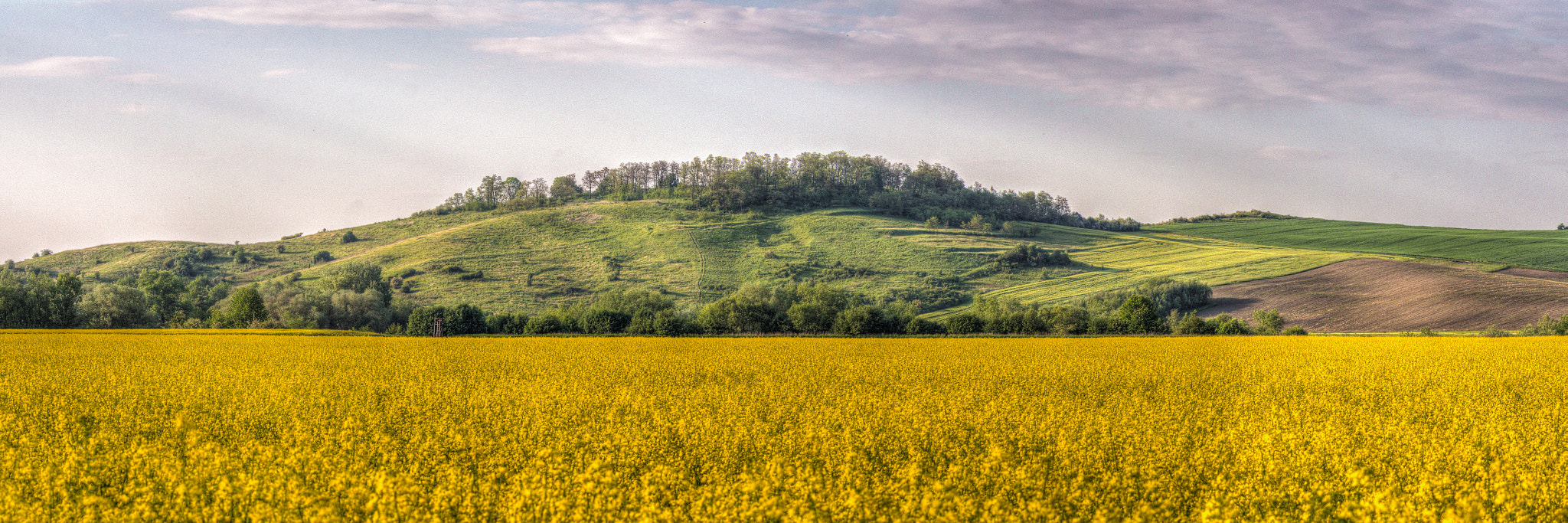 Pentax smc DA* 60-250mm F4.0 ED (IF) SDM sample photo. My favorite hill photography