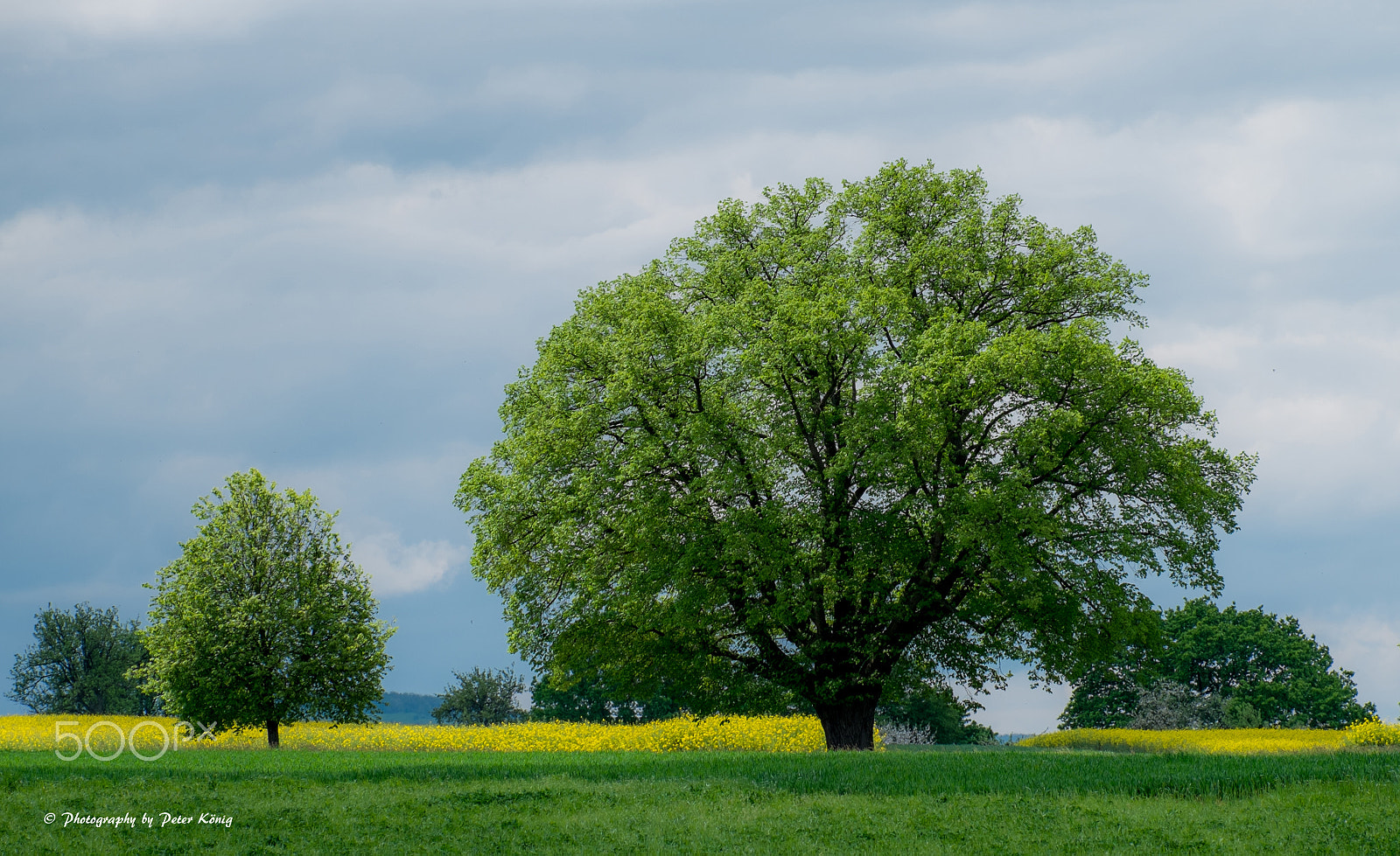 Fujifilm X-M1 + Fujifilm XC 50-230mm F4.5-6.7 OIS sample photo. Little and big photography