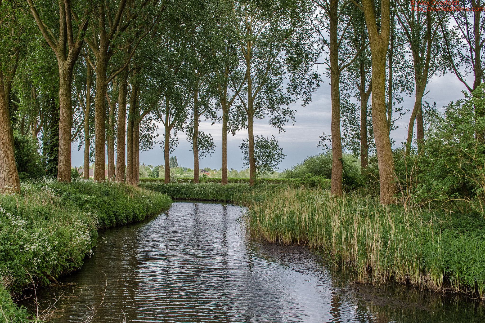 Pentax K-1 sample photo. Pentax k1 test 1 around damme on may photography