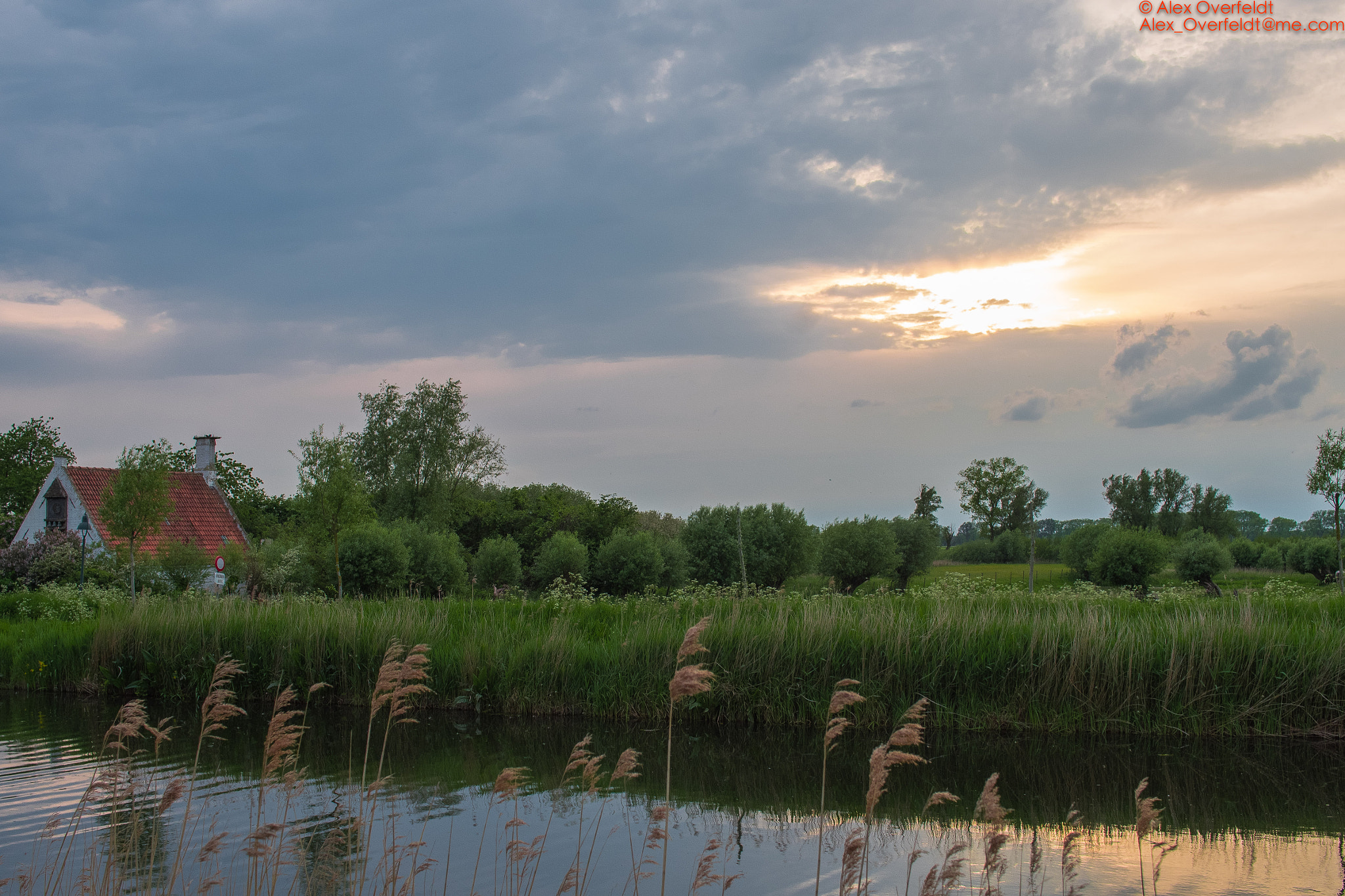 Pentax K-1 + Sigma 30mm F1.4 EX DC HSM sample photo. Pentax k1 test 3 around damme on may photography