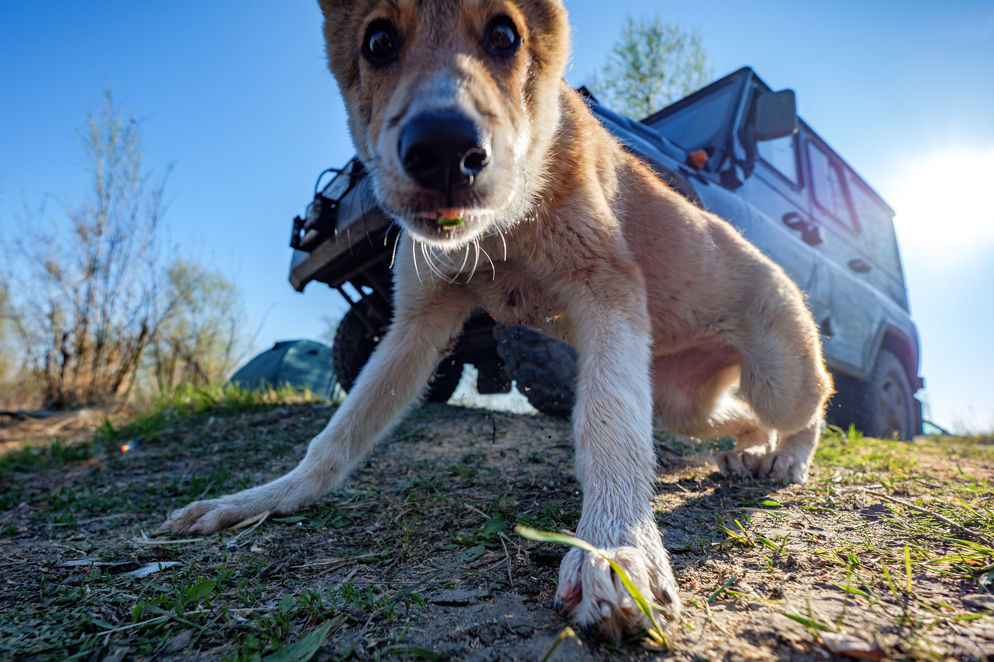 Fujifilm X-A1 + Fujifilm XF 10-24mm F4 R OIS sample photo. The younger hunter photography