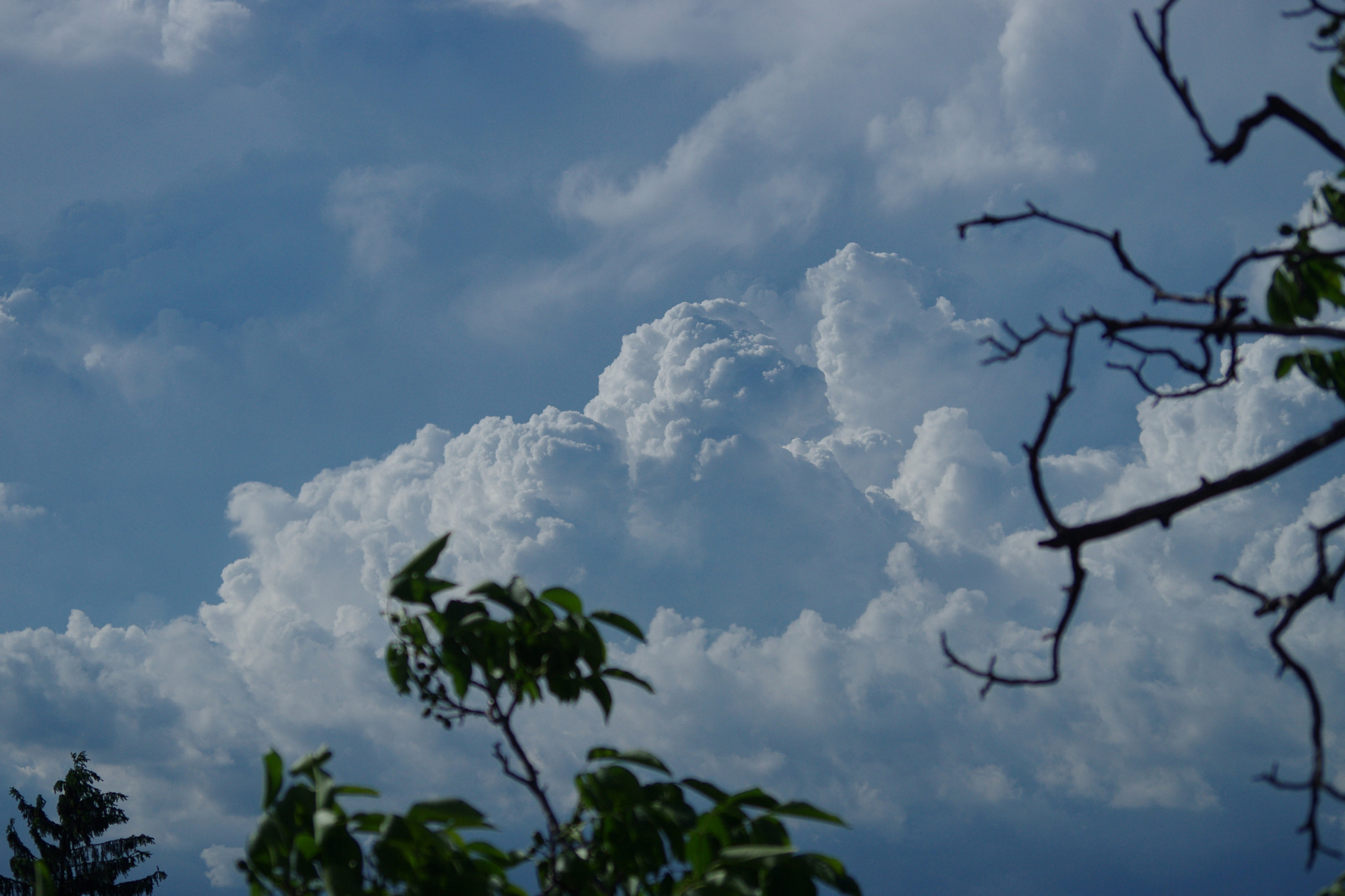 Pentax K-5 sample photo. Anyway the  wind blows photography