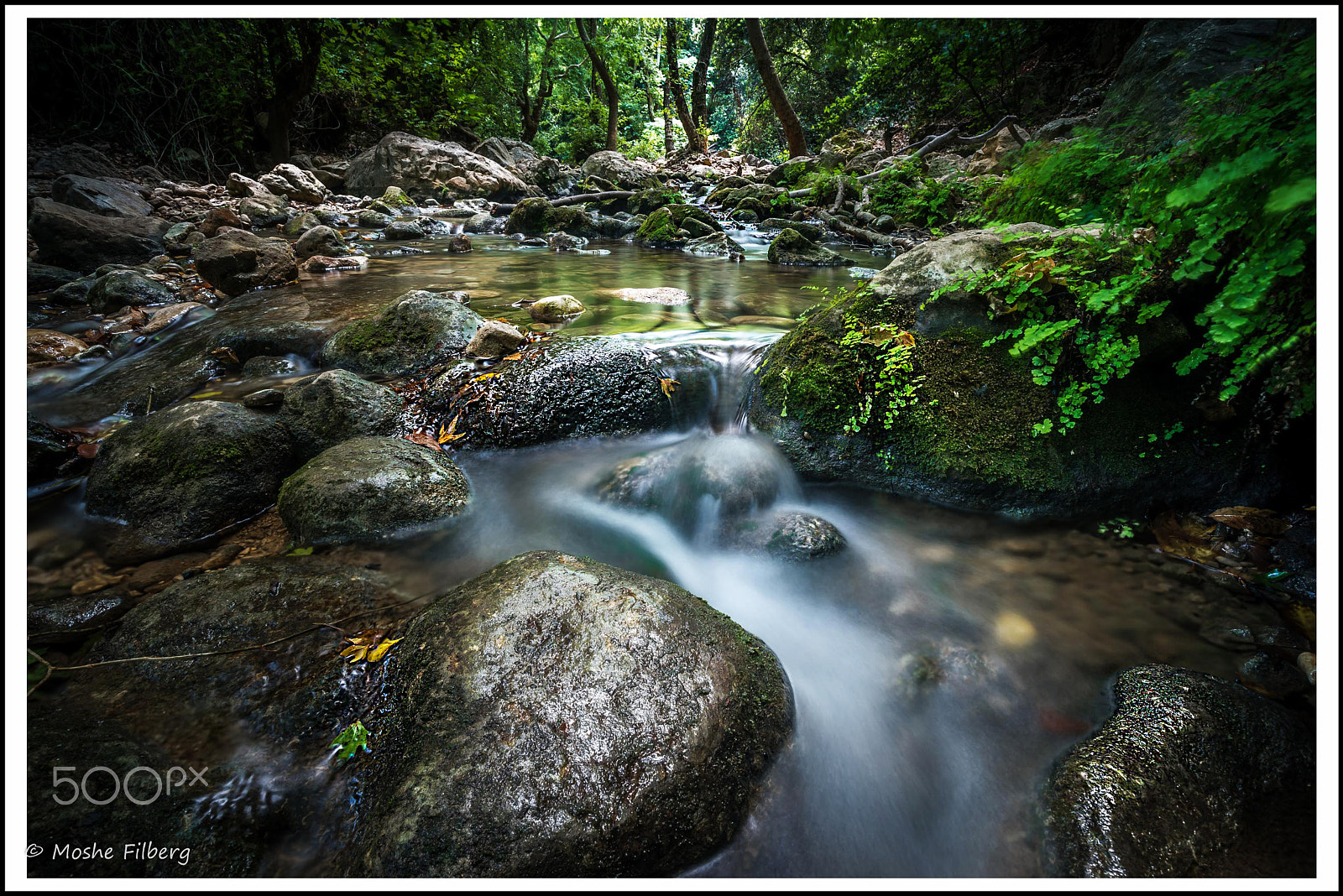 Nikon D810 + Sigma 17-35mm F2.8-4 EX Aspherical sample photo. Welcome to the garden of eden photography