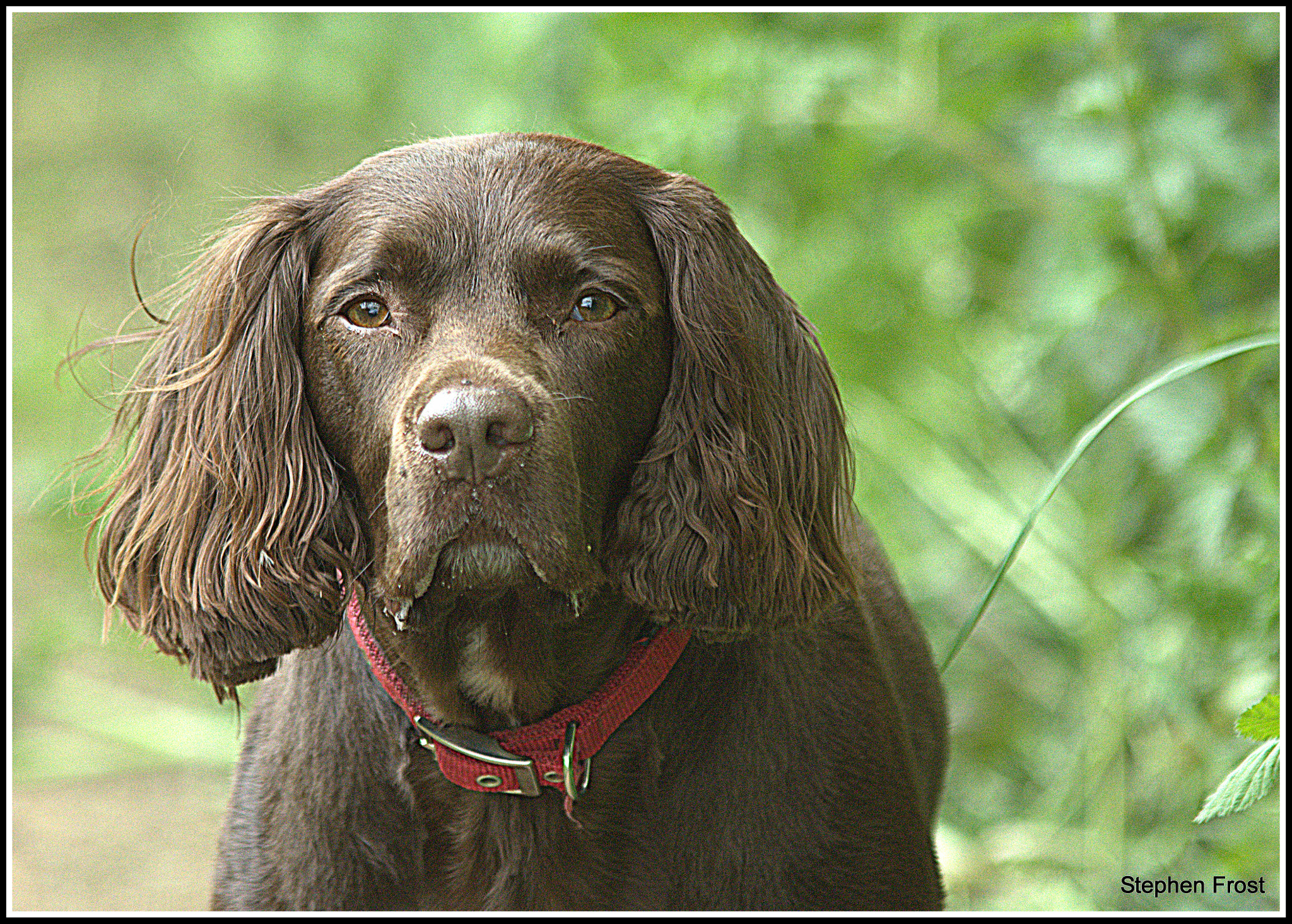 Sigma 70-200mm F2.8 EX DG OS HSM sample photo. Summers here and i've just had my coat cut and i feel absolutely fantastic photography
