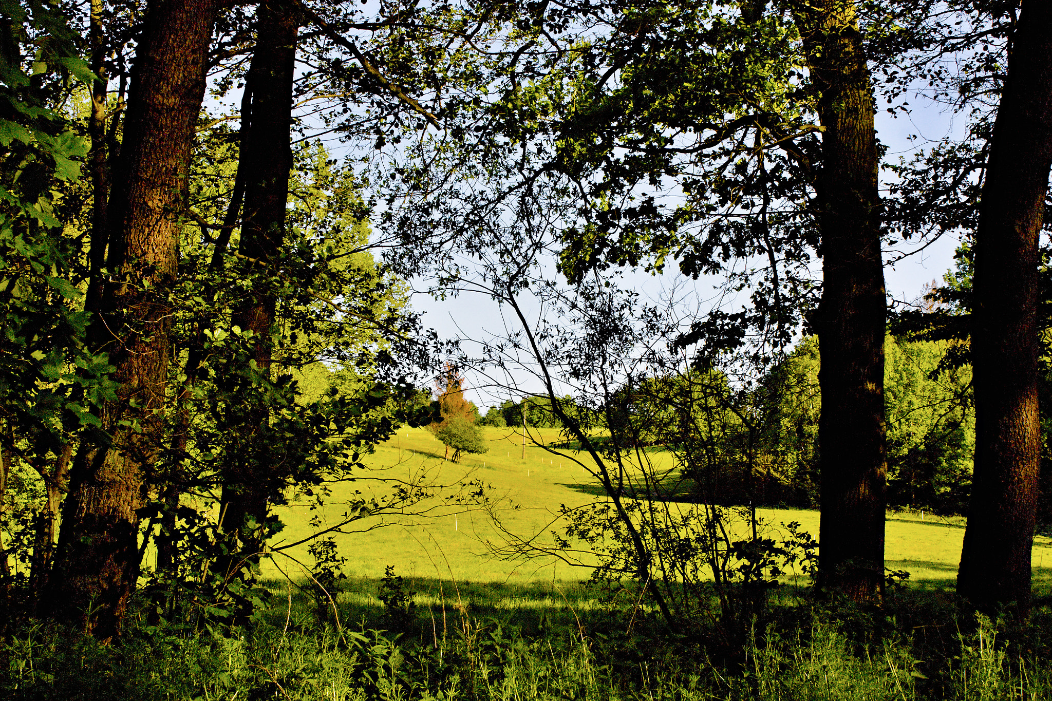 18.00 - 55.00 mm sample photo. Around the village lubojaty photography