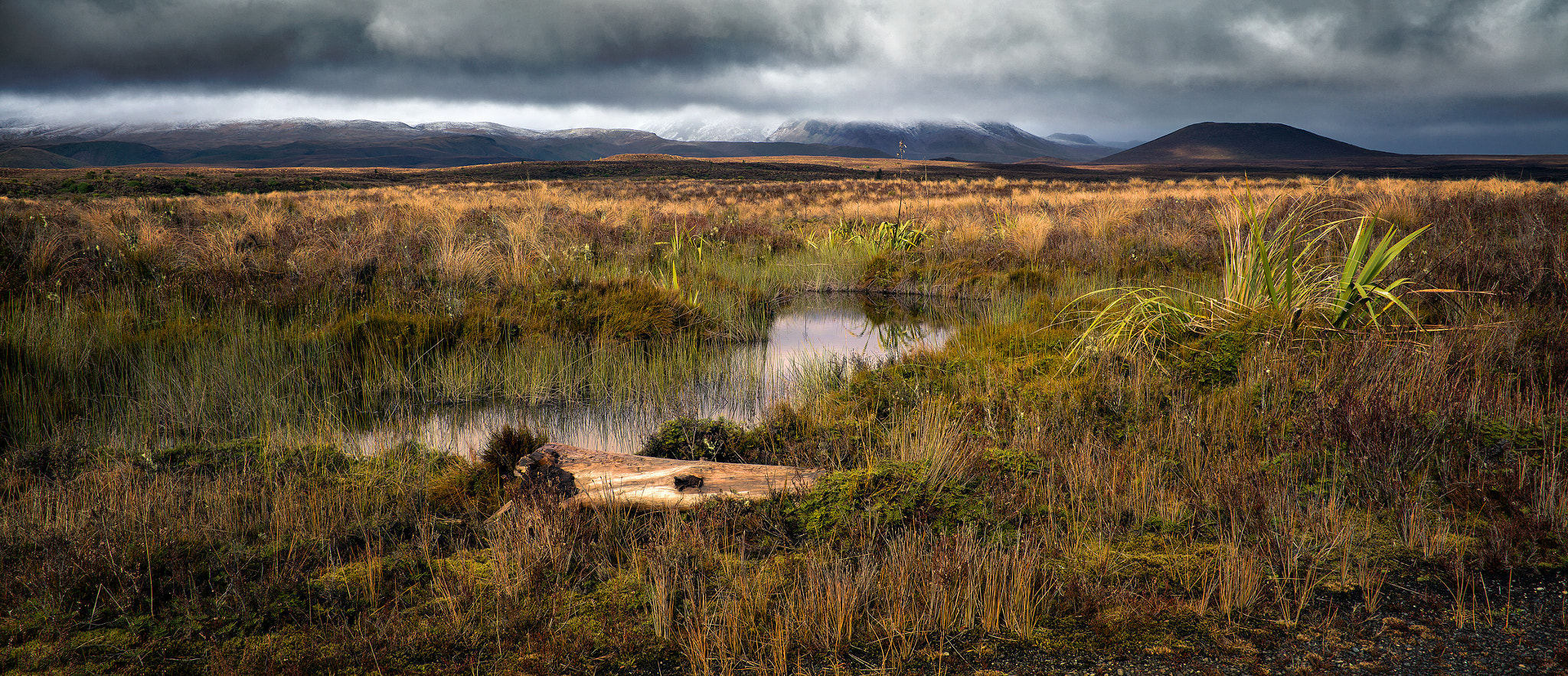 Canon EOS 5D Mark II + Canon TS-E 45mm F2.8 Tilt-Shift sample photo. Tnp photography