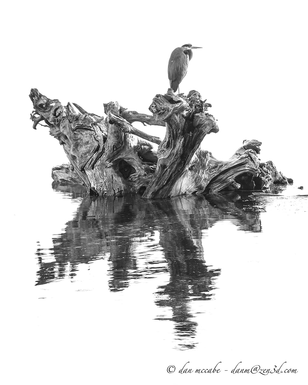 Pentax K-5 sample photo. Reflection of heron and driftwood photography