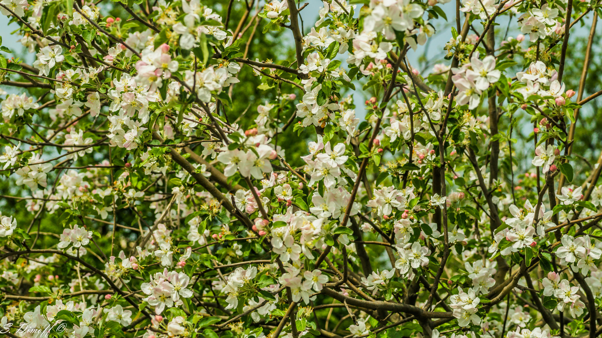 Tamron SP 70-300mm F4-5.6 Di USD sample photo