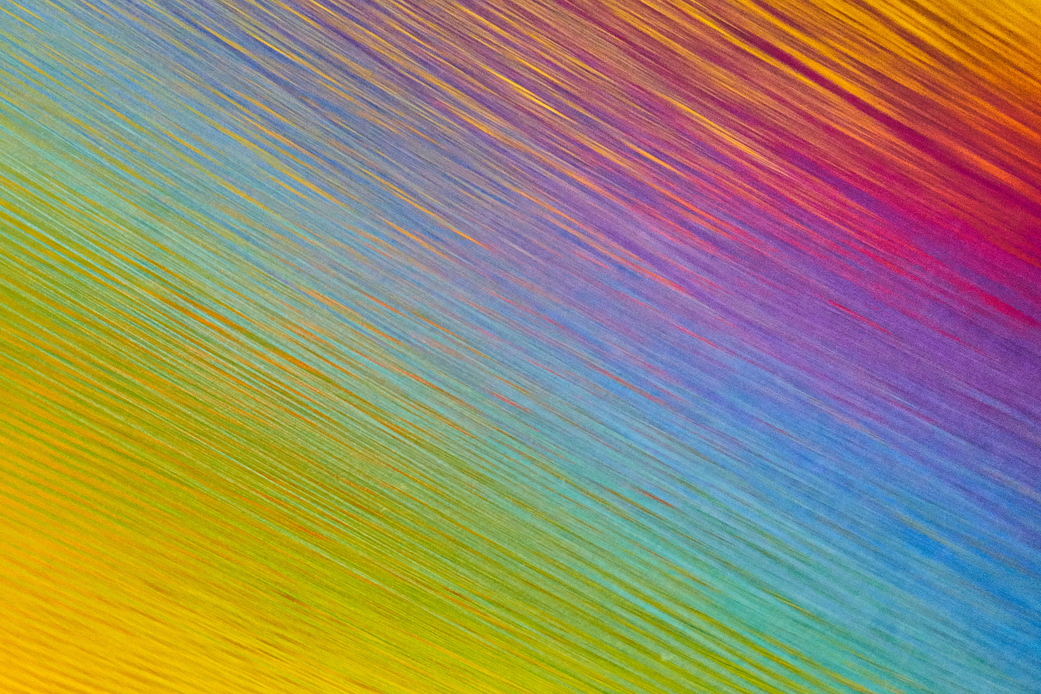 Minolta AF 70-210mm F4 Macro sample photo. Plexus a1 by gabriel dawe photography