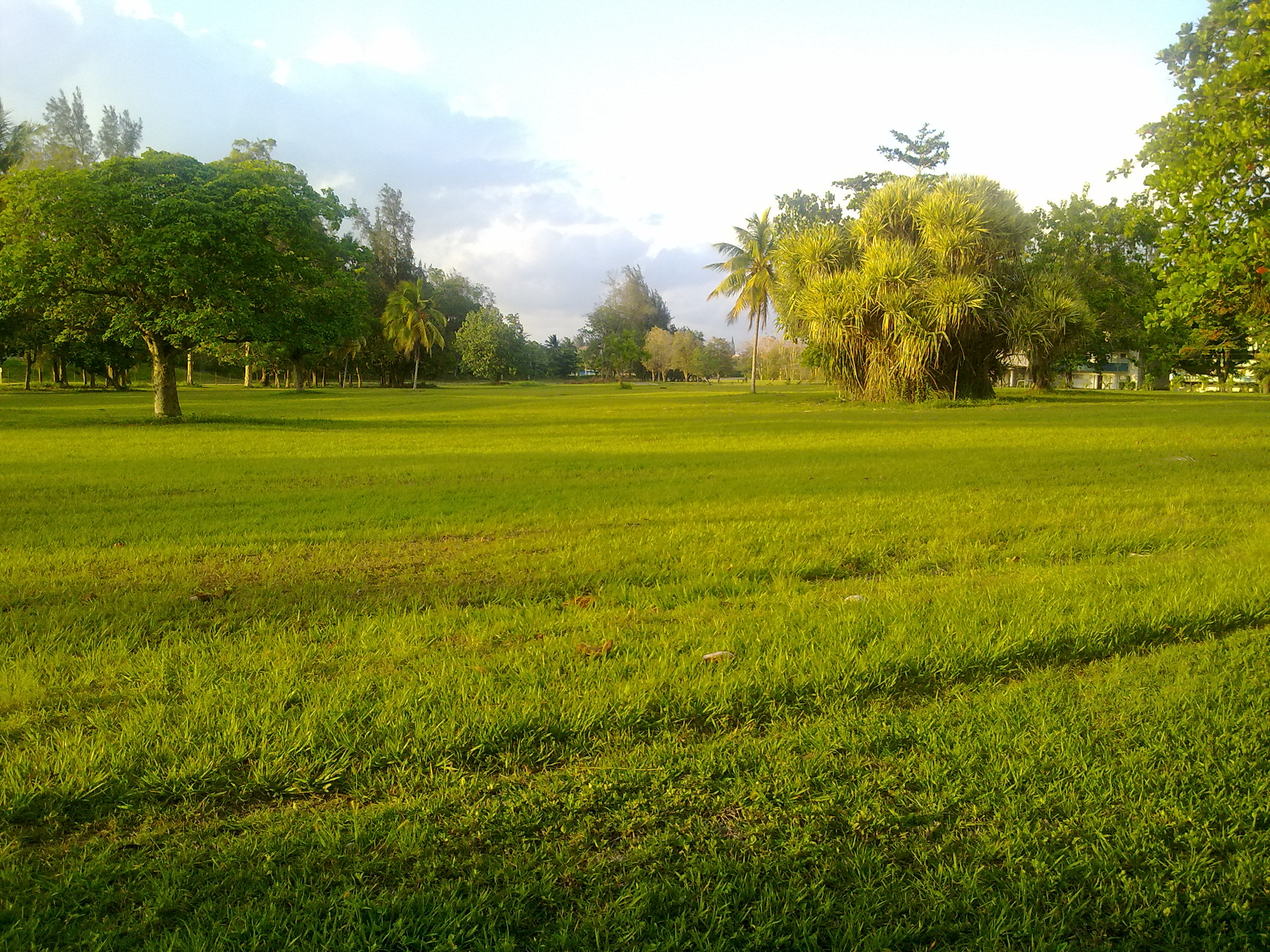 Nokia X6-00 sample photo. Pradera verde.jpg photography