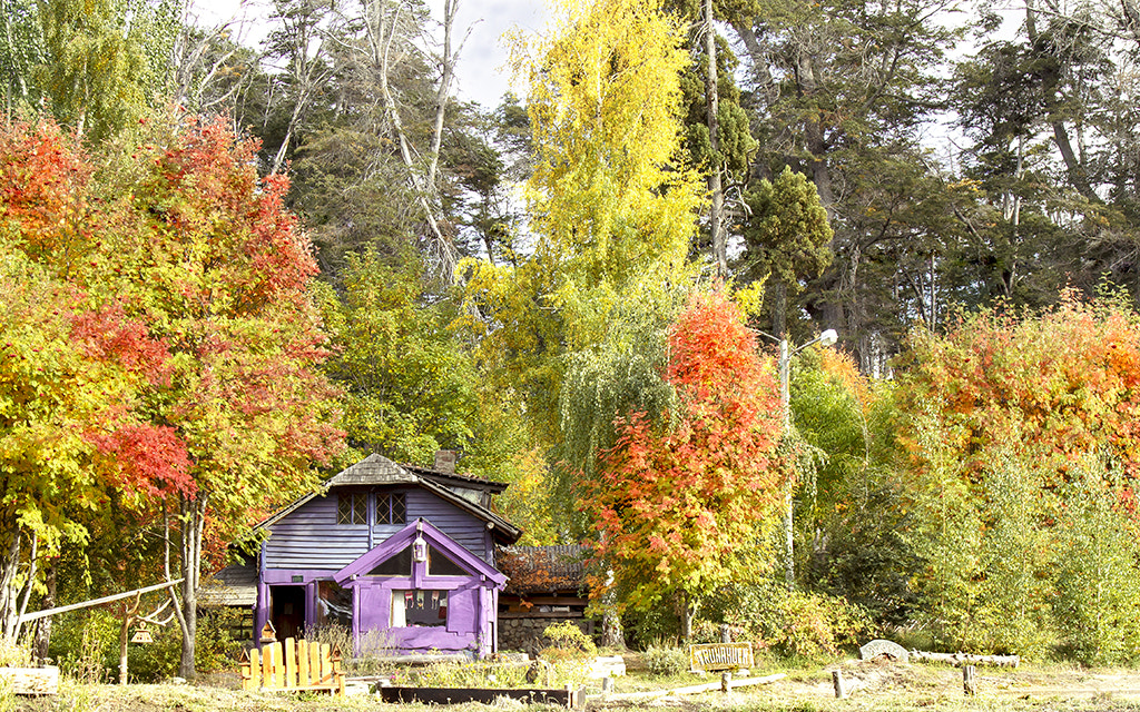 Canon EOS 650D (EOS Rebel T4i / EOS Kiss X6i) sample photo. Colores del otoño photography