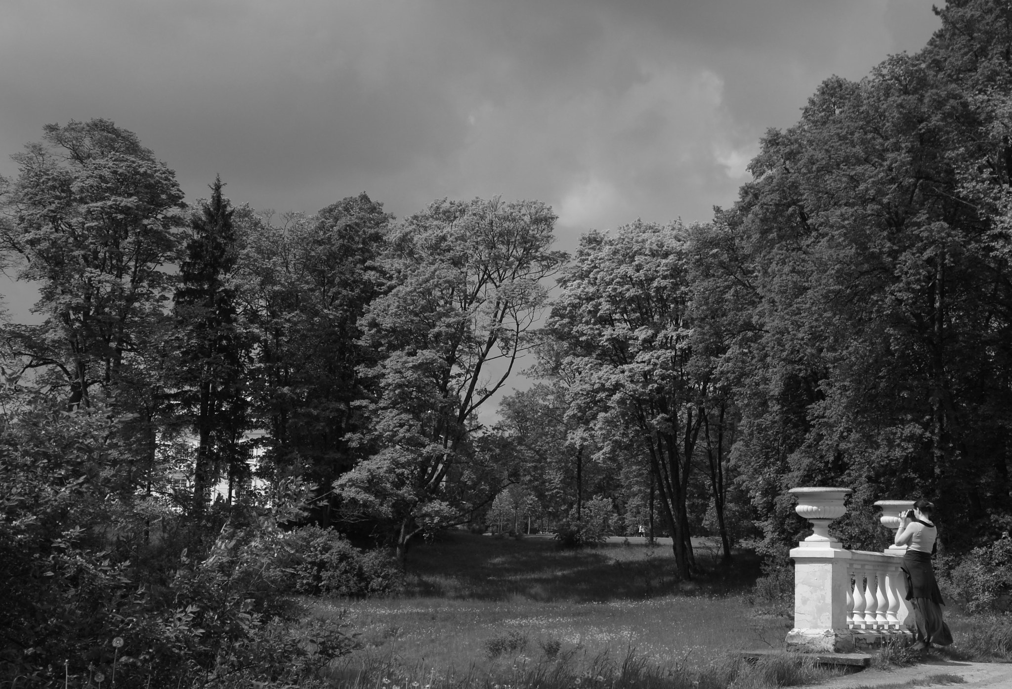 Sony Alpha NEX-C3 sample photo. Photographer photography