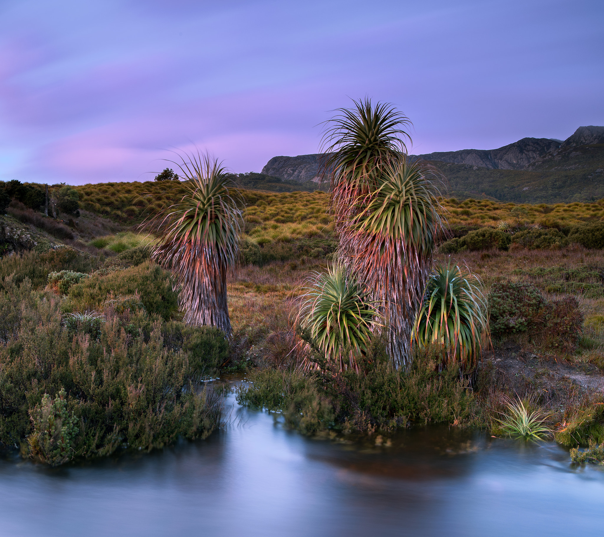 smc PENTAX-FA 645 35mm F3.5 AL [IF] sample photo. Pandanii dawn cradle valley photography