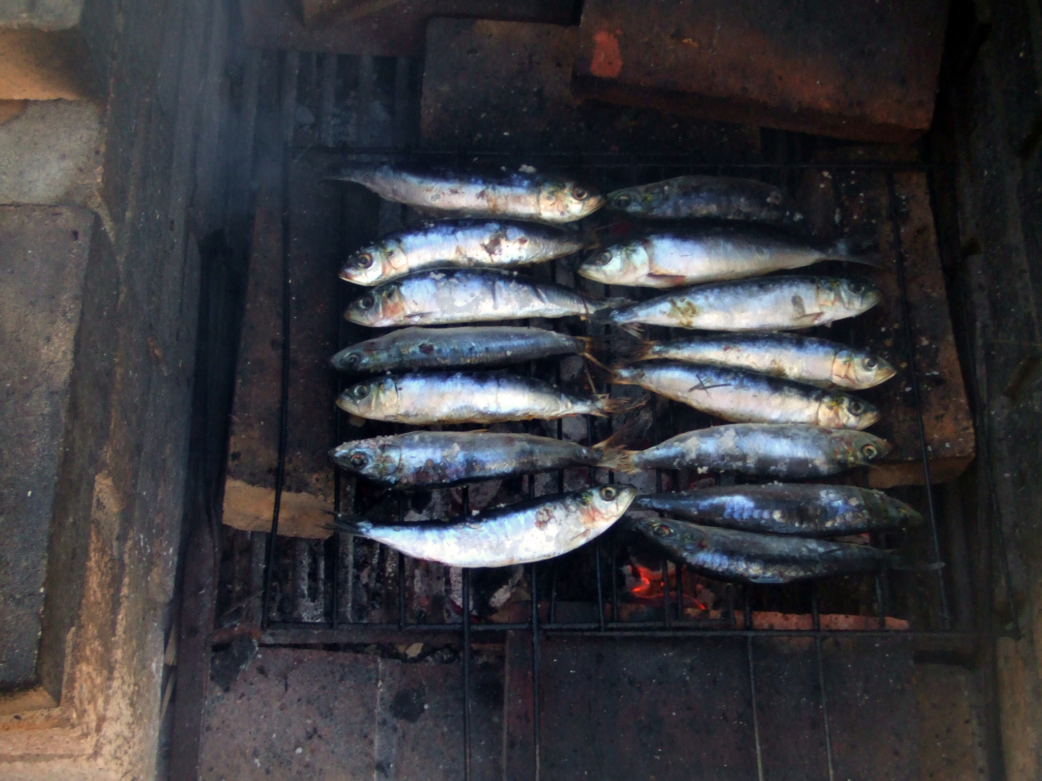 Fujifilm FinePix Z1 sample photo. "sardines sans boîte" photography