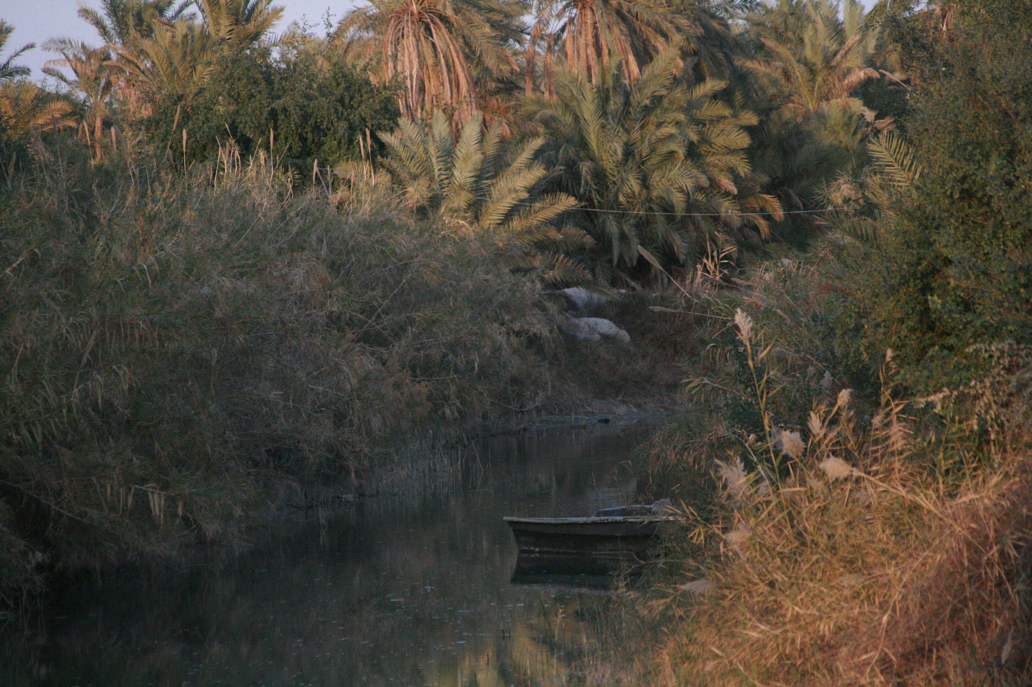 Canon EOS 400D (EOS Digital Rebel XTi / EOS Kiss Digital X) sample photo. Iraq, photography