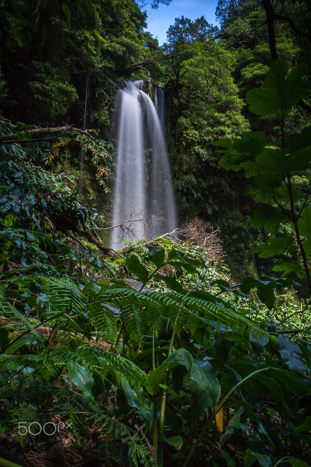 Sigma 18-50mm F2.8-4.5 DC OS HSM sample photo. Discovering my island photography