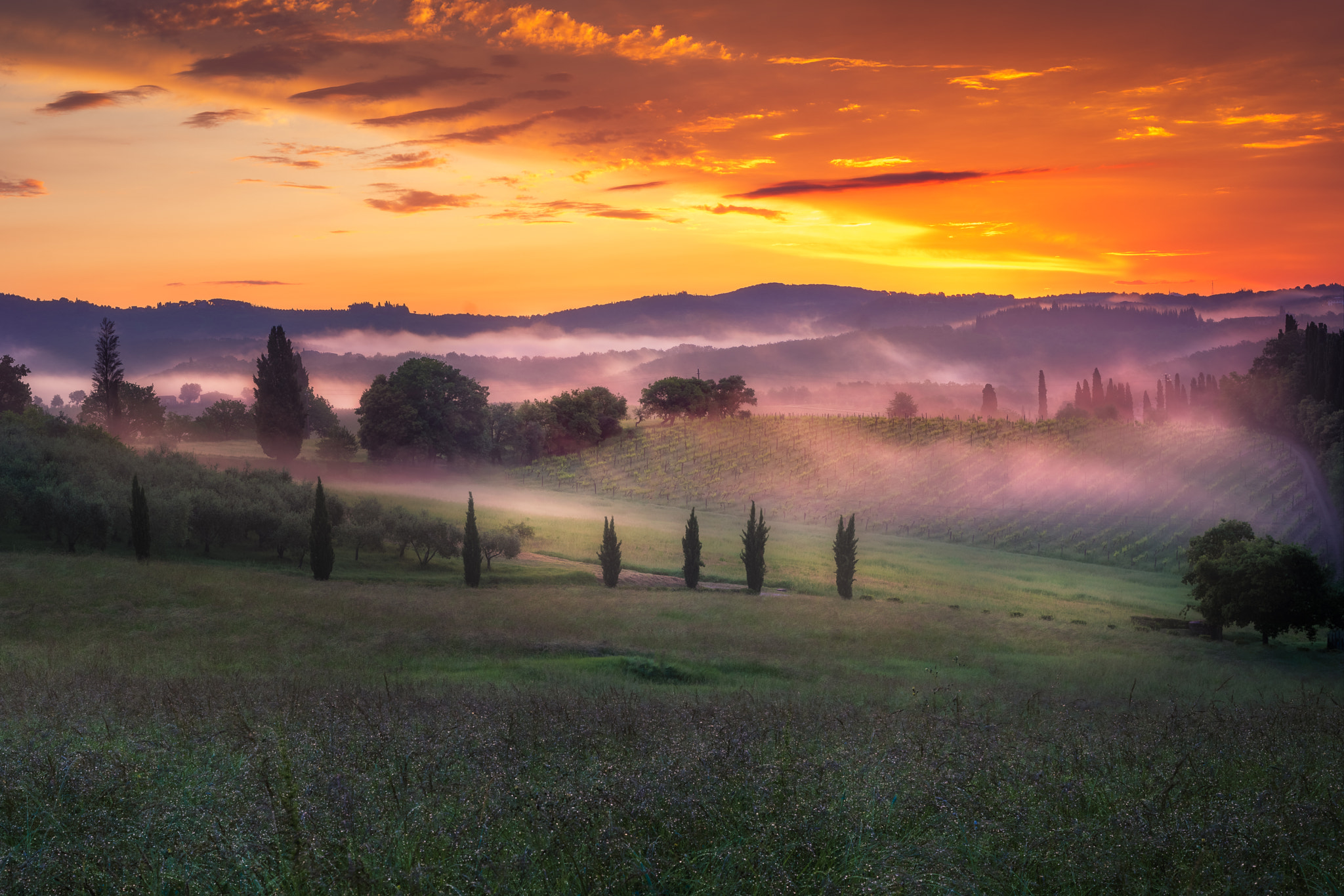 Sony a7R + Canon EF 50mm F1.8 II sample photo. Tuscan sunrise photography