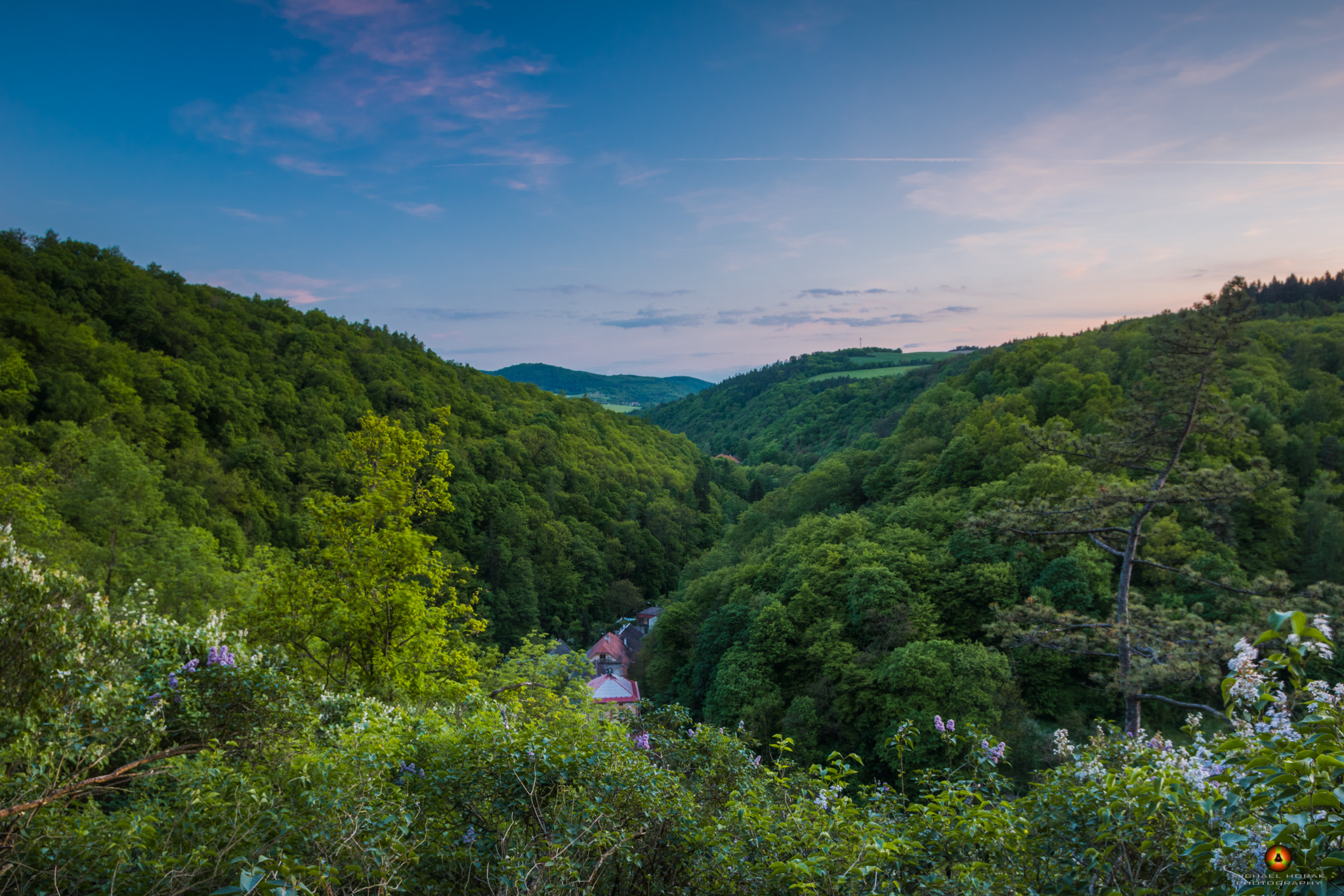 Minolta AF 17-35mm F2.8-4 (D) sample photo. Forest valley photography