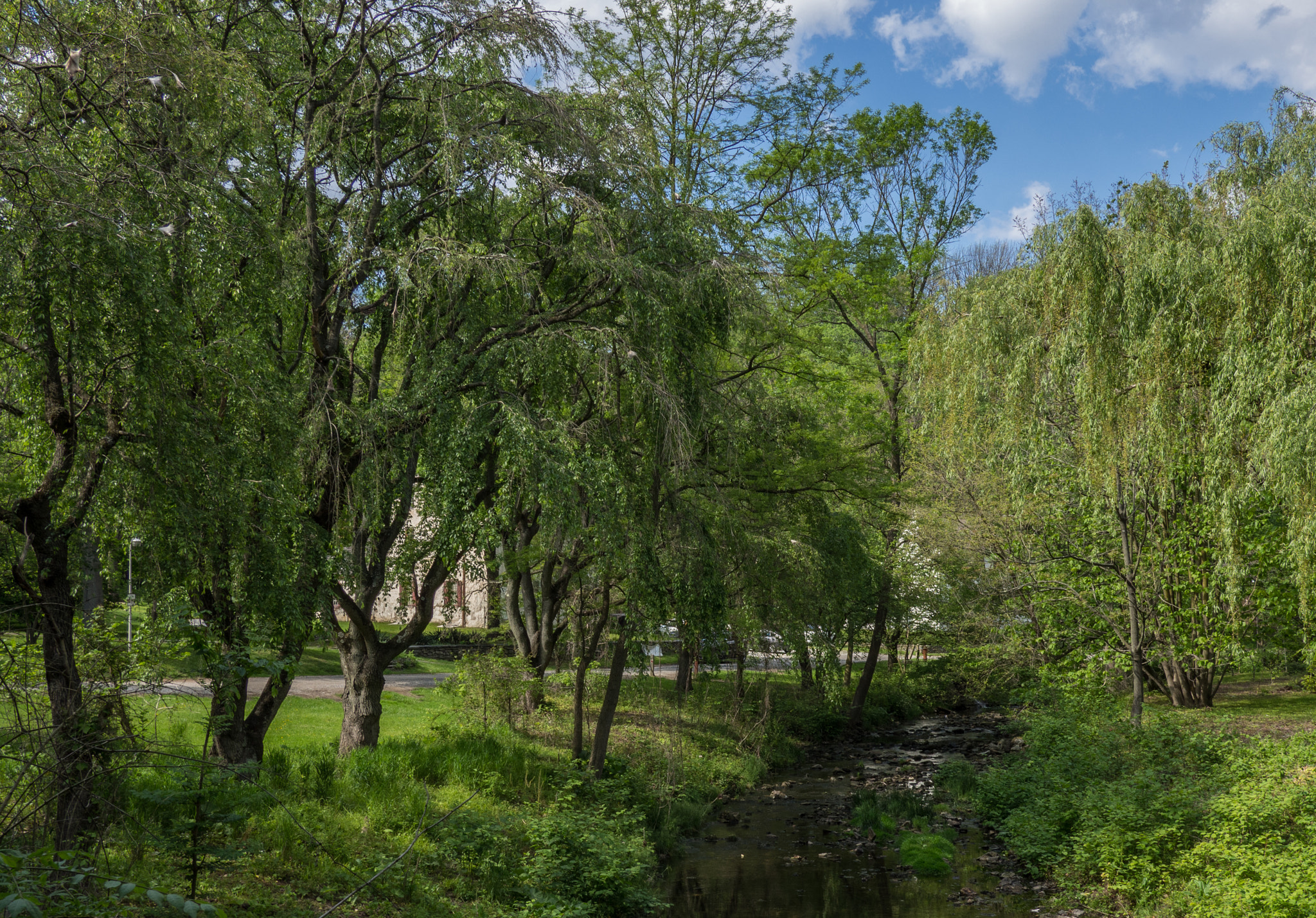 Olympus OM-D E-M10 + LUMIX G 20/F1.7 II sample photo. Wissahickon trail photography