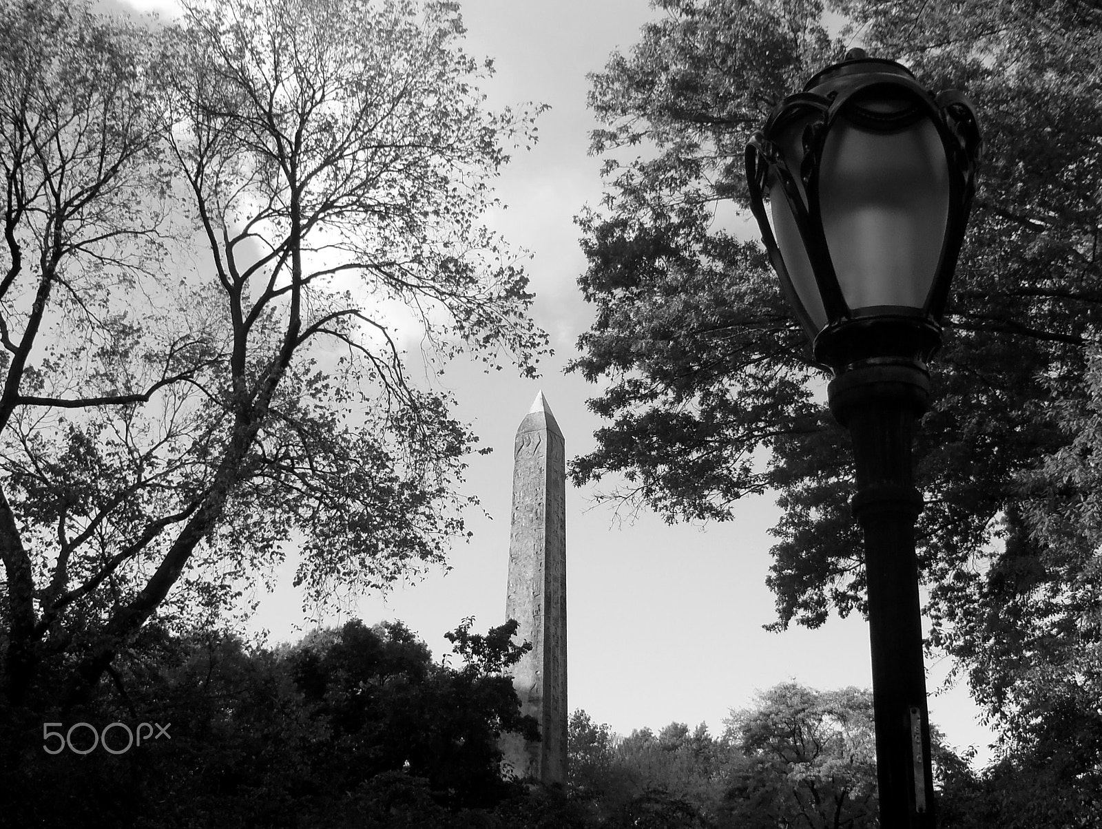 Olympus TG-810 sample photo. Enlightenment photography