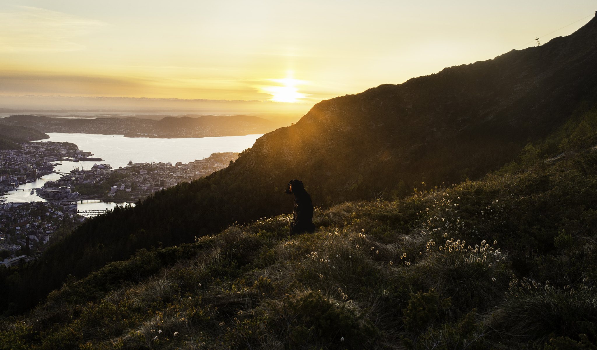 Nikon D600 + Nikon AF-S Nikkor 35mm F1.8G ED sample photo. #24 photography