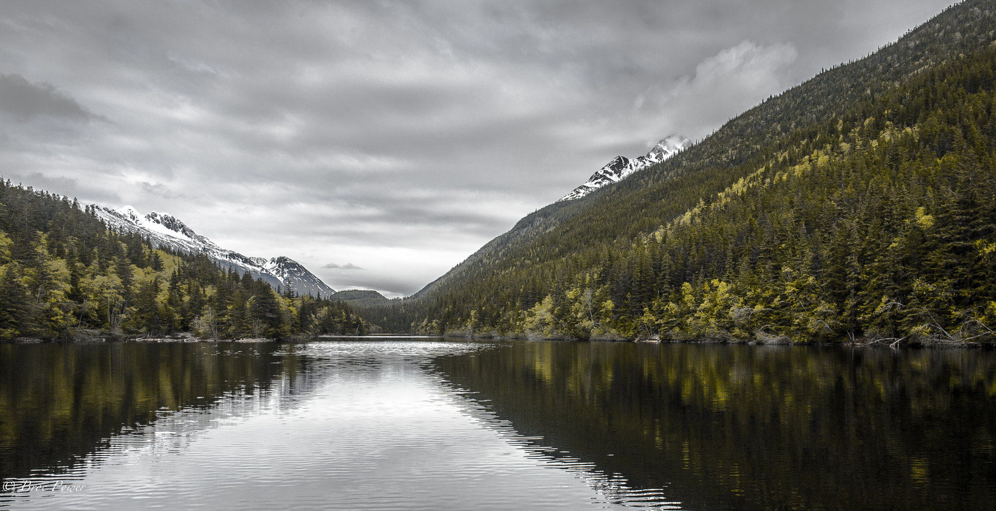 Canon EF 14mm F2.8L II USM sample photo. With nature photography