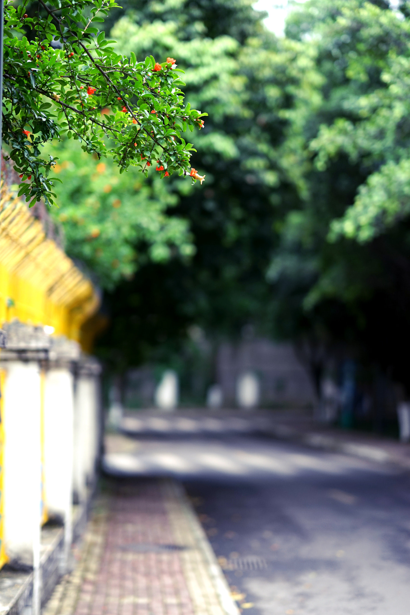 Sony a7 + Sony FE 85mm F1.4 GM sample photo. 空 photography