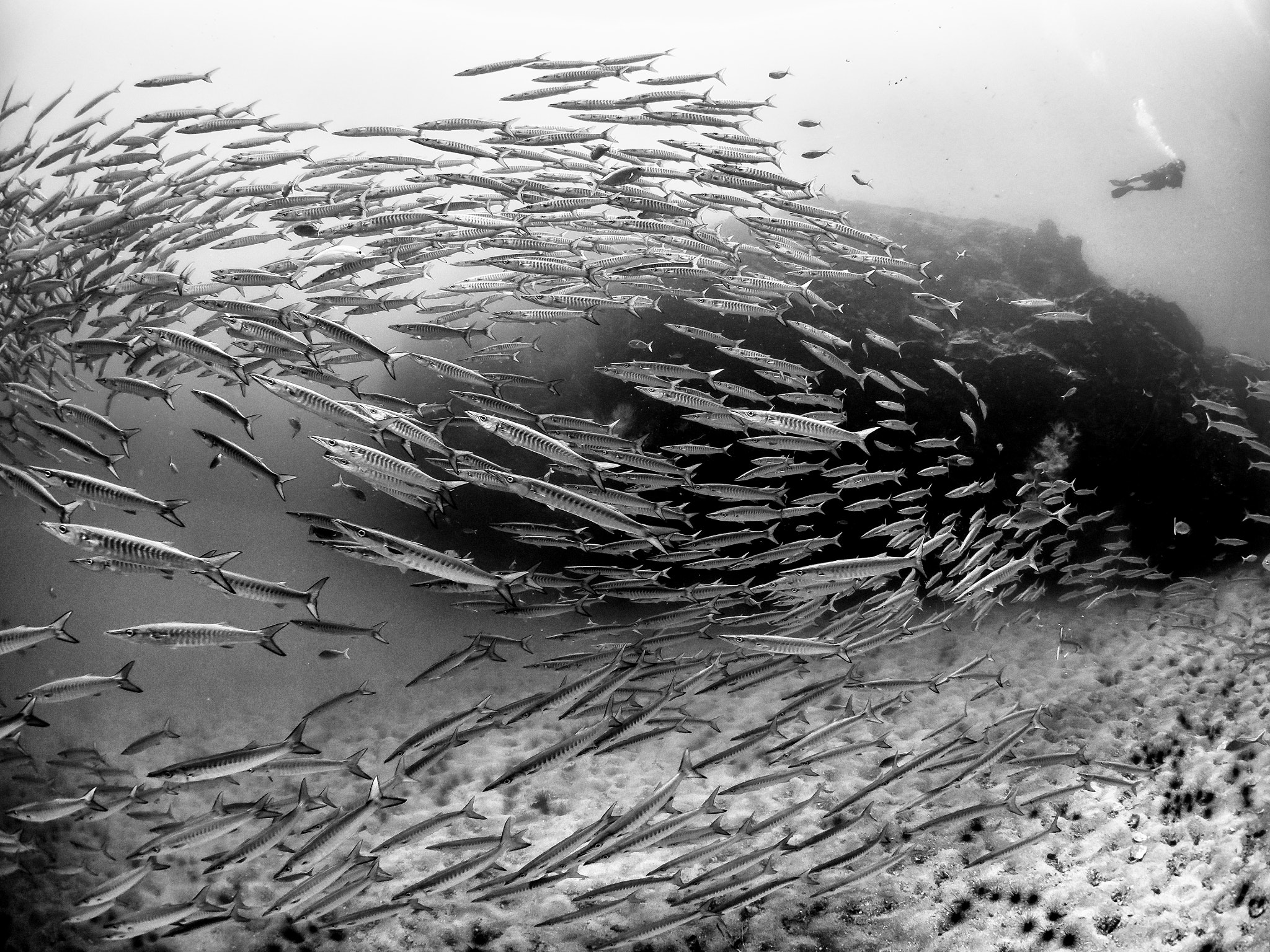 LUMIX G FISHEYE 8/F3.5 sample photo. Boom! photography
