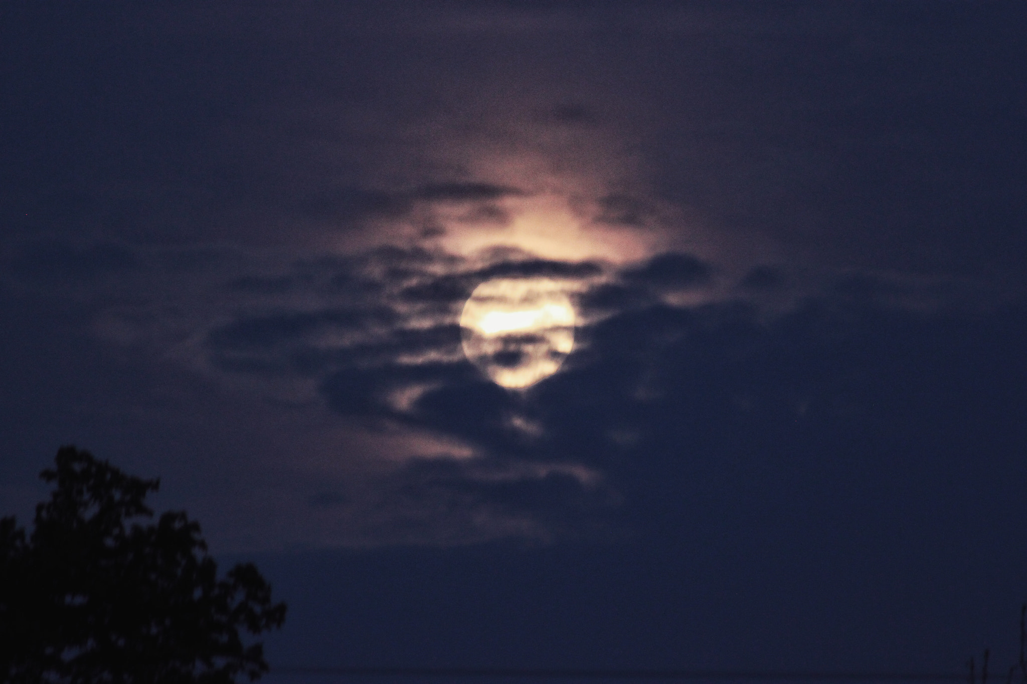 Canon EOS 500D (EOS Rebel T1i / EOS Kiss X3) + Canon EF 70-300mm F4-5.6 IS USM sample photo. Evening moon photography