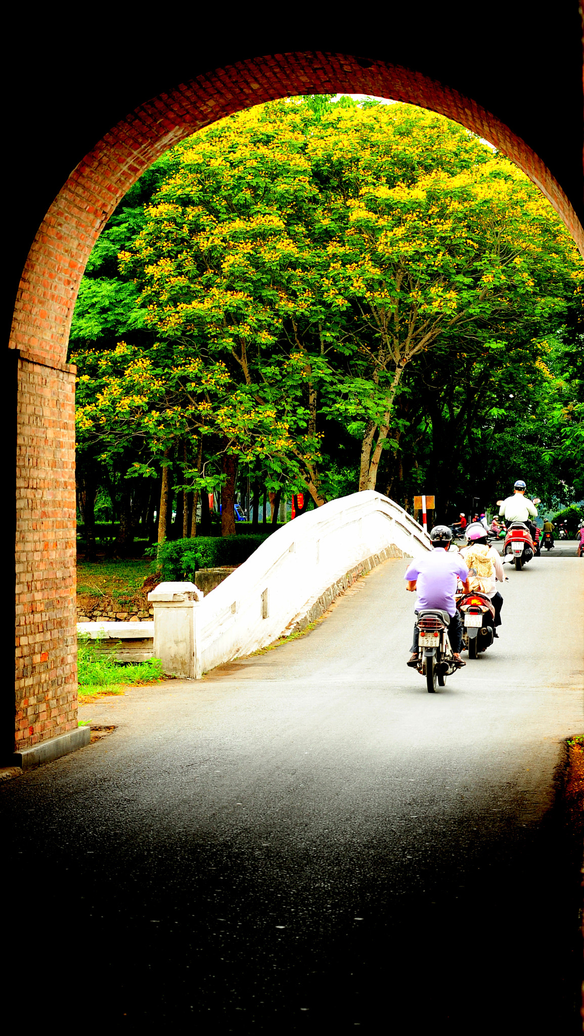 Nikon AF-Nikkor 80-200mm F2.8D ED sample photo. The season of bloom in hue city photography