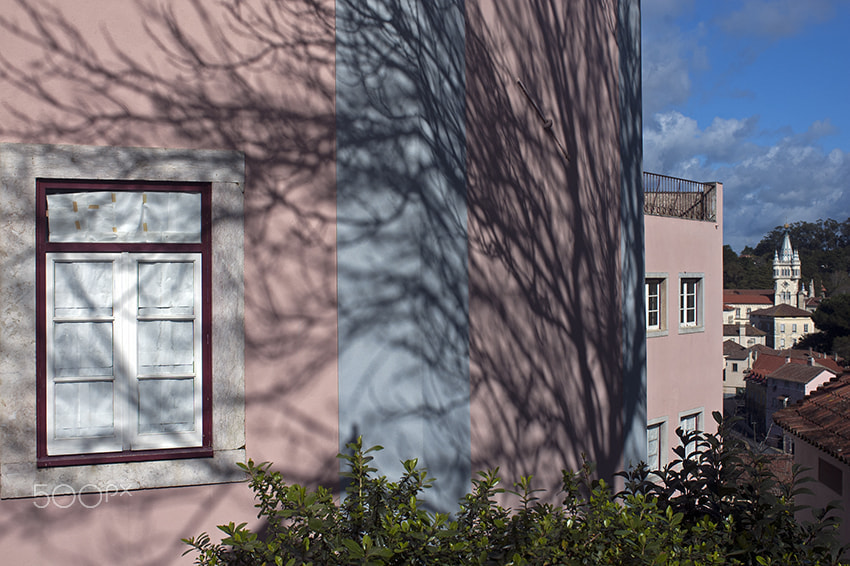 Nikon AF-S Nikkor 28-70mm F2.8 ED-IF sample photo. Sintra photography