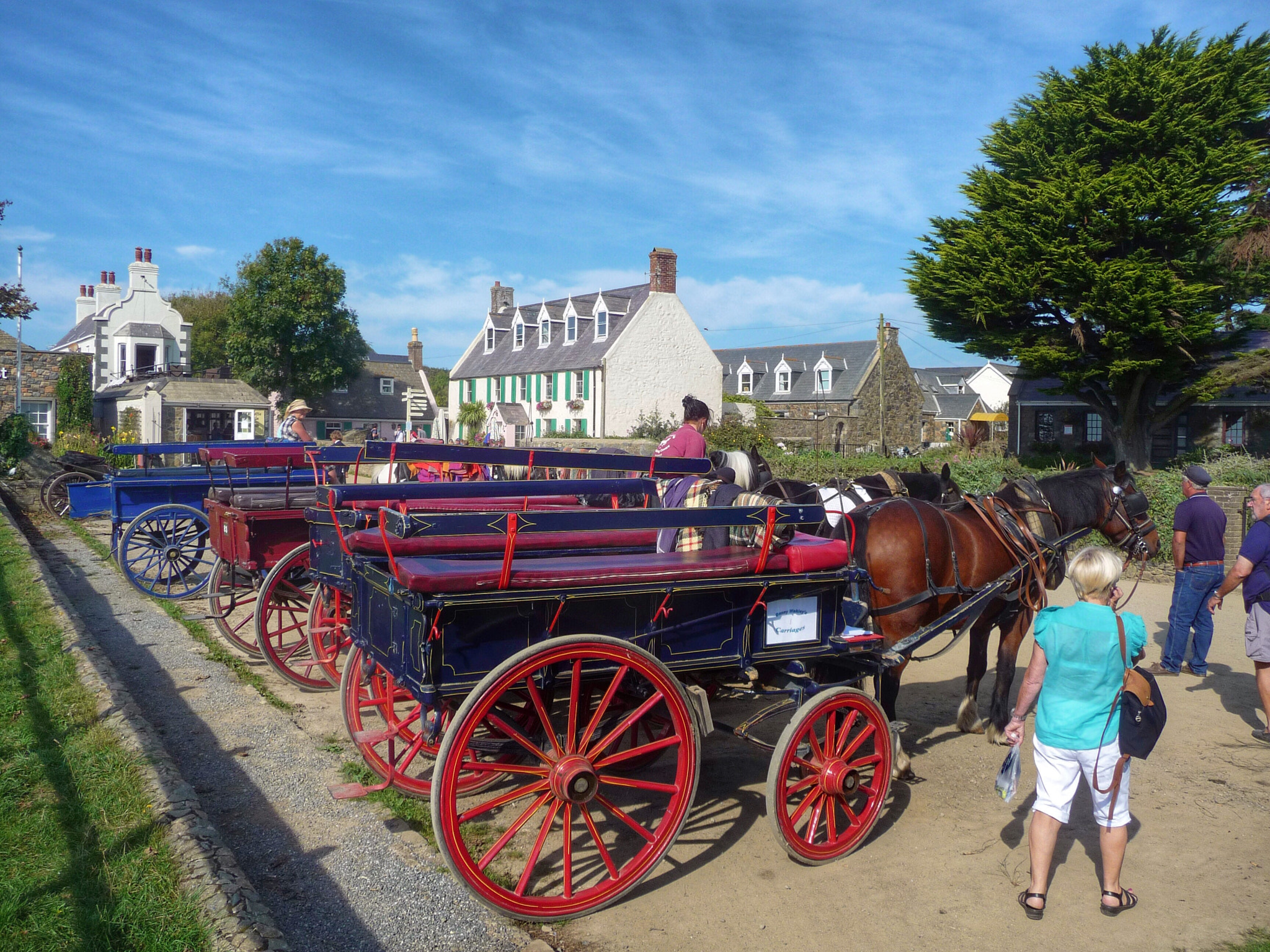 Panasonic DMC-TZ15 sample photo. Horse drawn taxis, sark photography