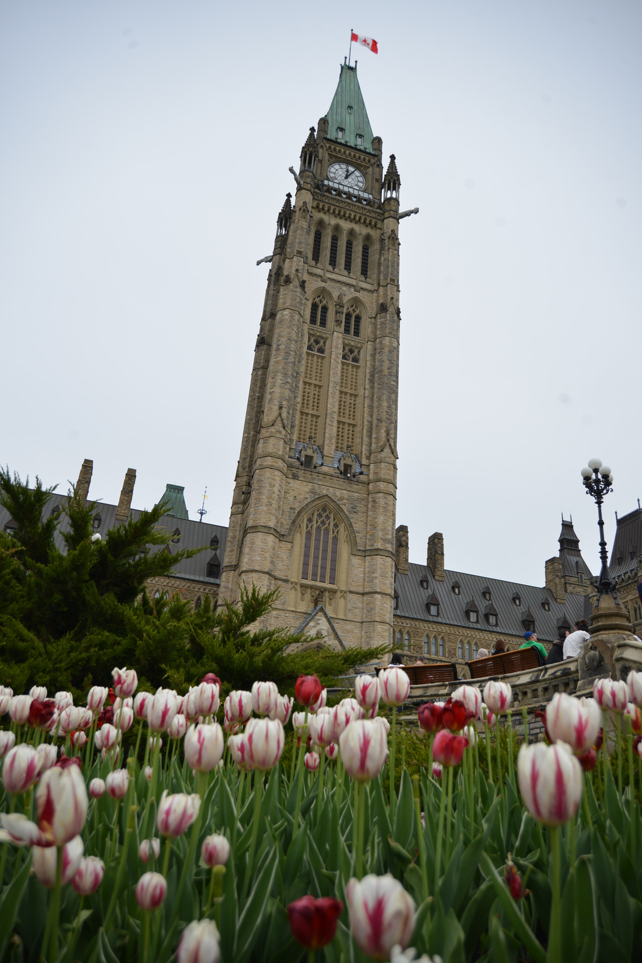 Nikon D600 sample photo