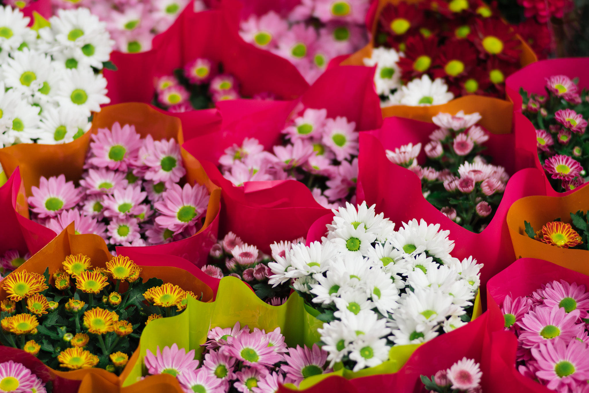 Sony 135mm F2.8 [T4.5] STF sample photo. Flowers for sale photography