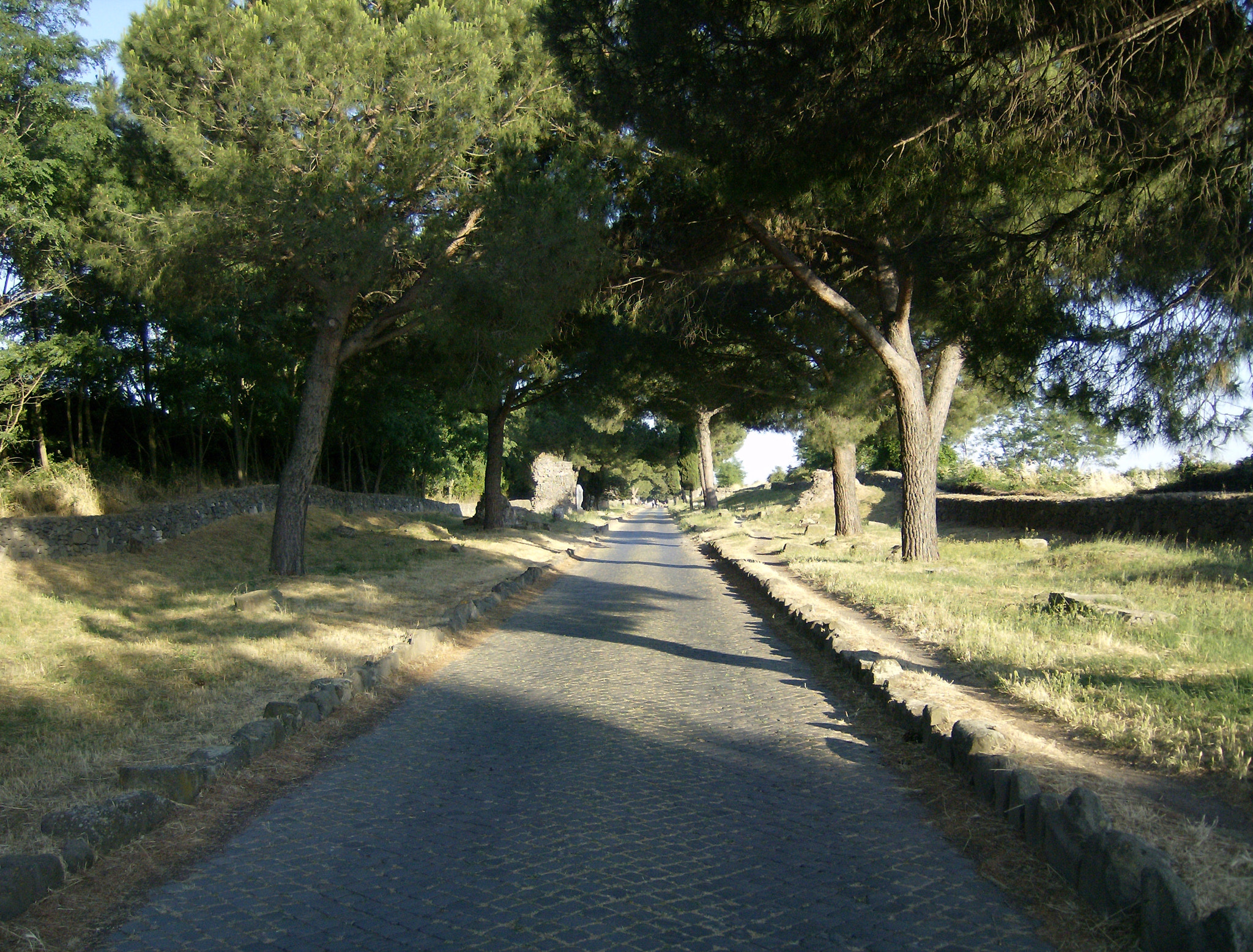 HP Photosmart M527 sample photo. Via appia antica  photography