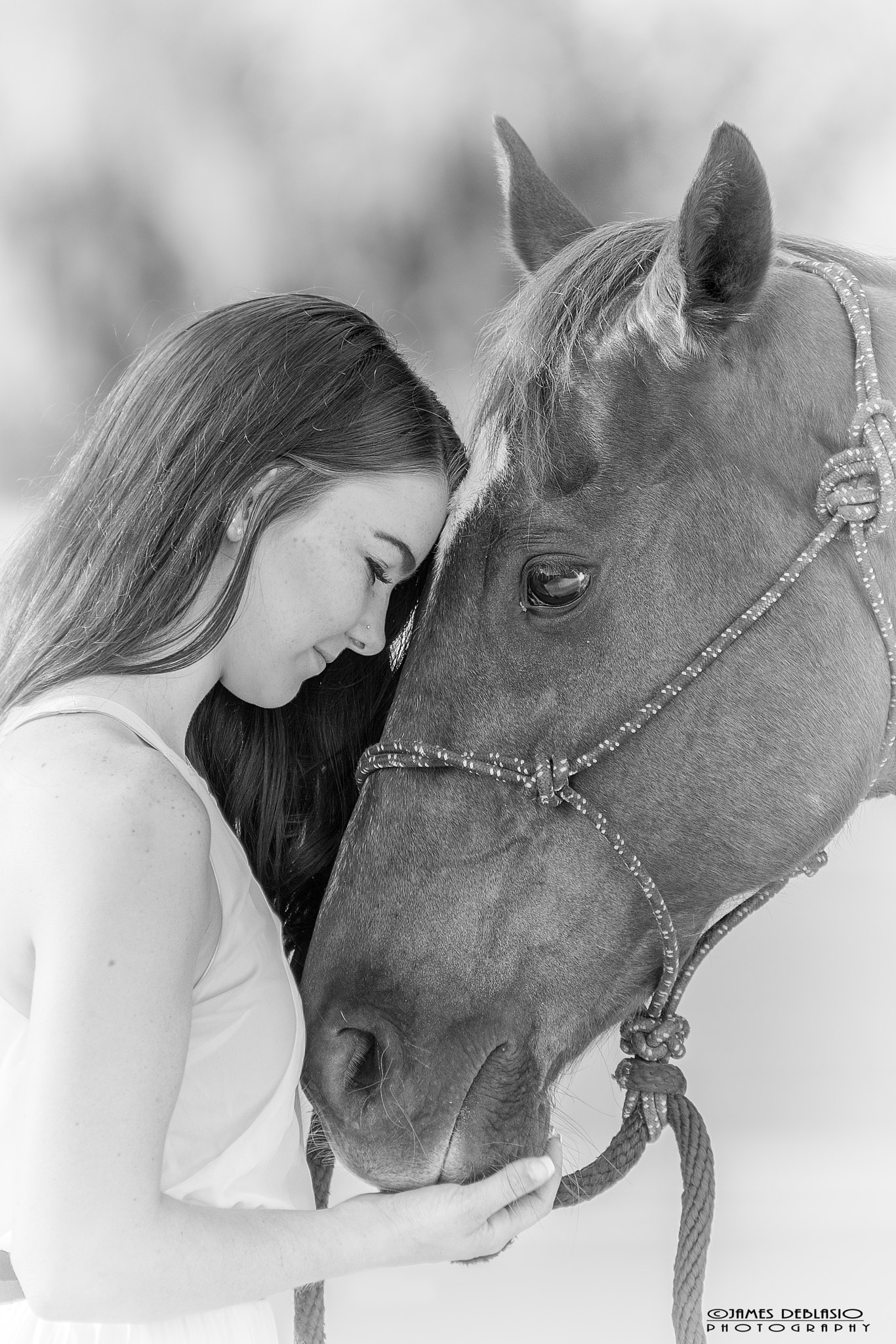 Sigma 70-200mm F2.8 EX DG OS HSM sample photo. Reba photography