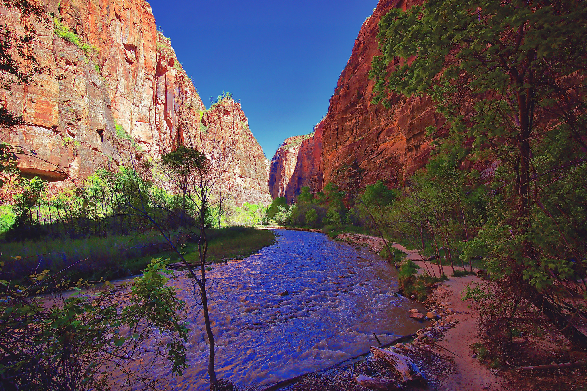 Sony Alpha NEX-7 + Sony E 10-18mm F4 OSS sample photo. Zion national park utah photography