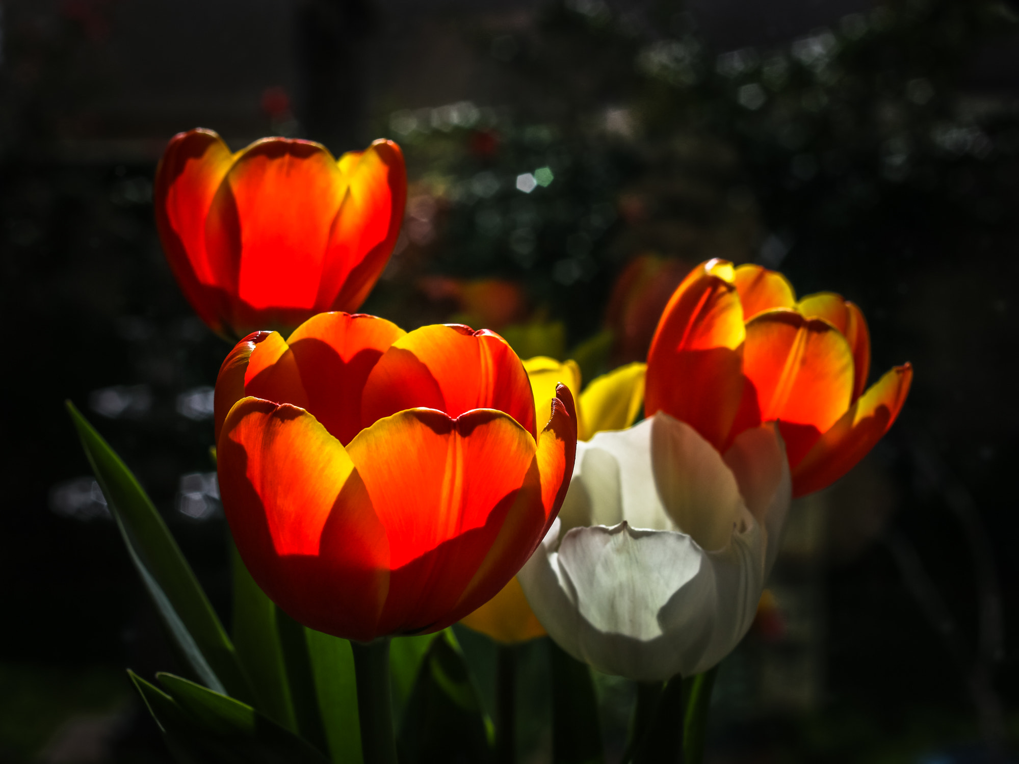 Canon EOS 70D + Canon EF 35mm F2 sample photo. At near sunset photography