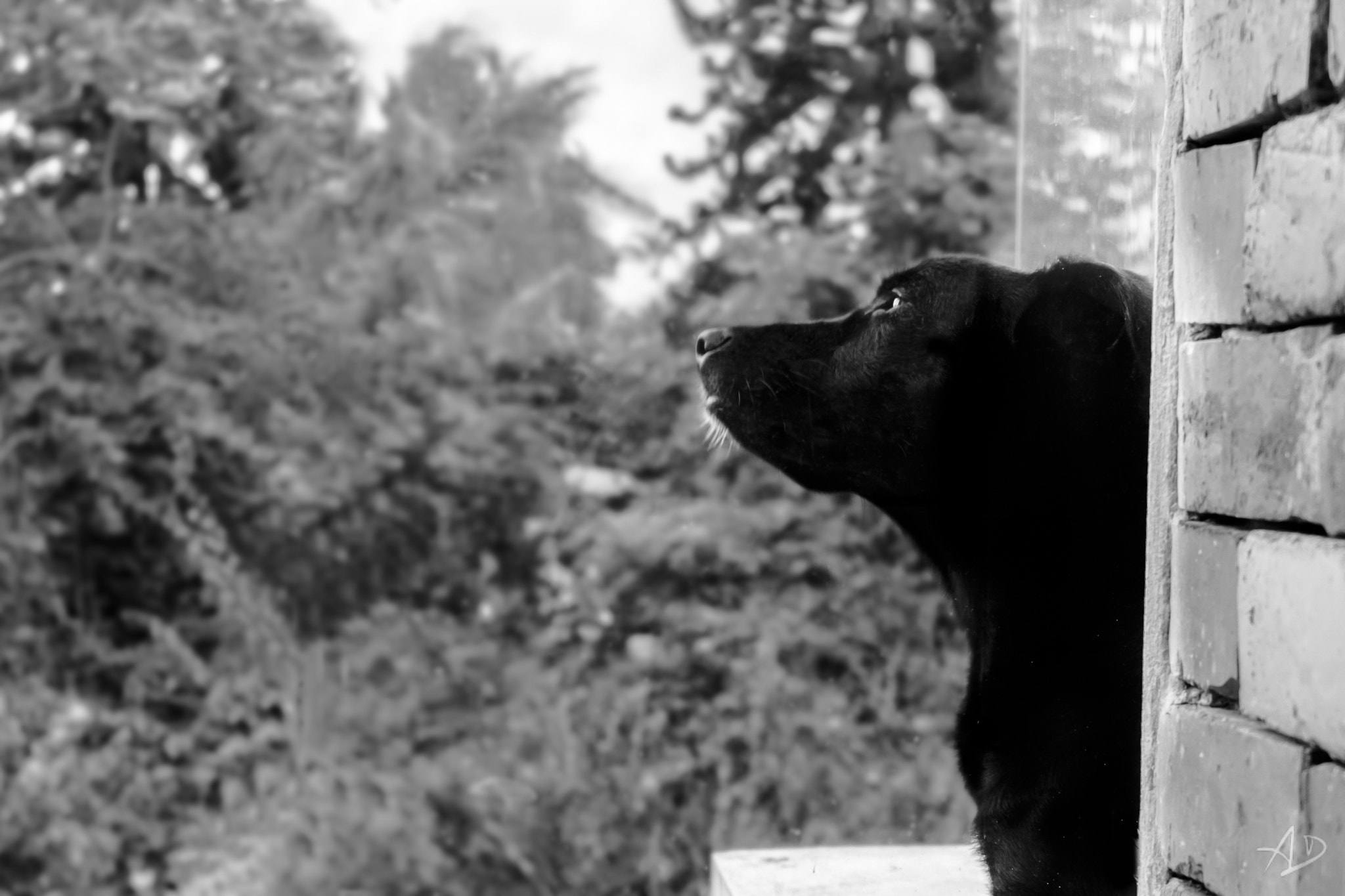 Samsung NX 20-50mm F3.5-5.6 ED sample photo. Lupita photography