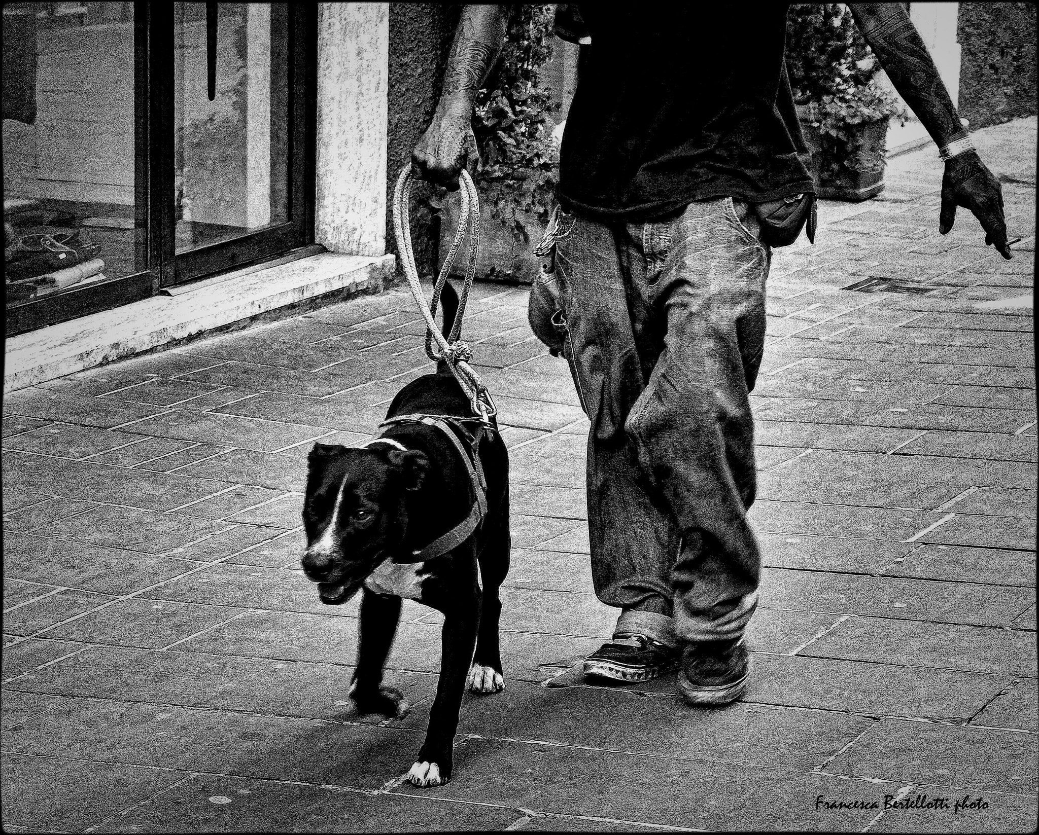Fujifilm X-M1 + Fujifilm XC 16-50mm F3.5-5.6 OIS II sample photo. Pietrasanta street1 photography