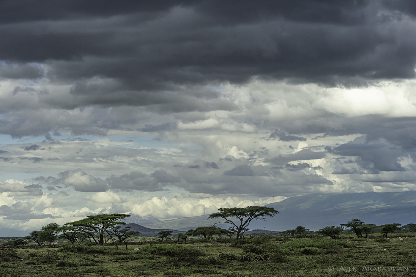 Nikon D4S sample photo. Мagnificent Мoment photography