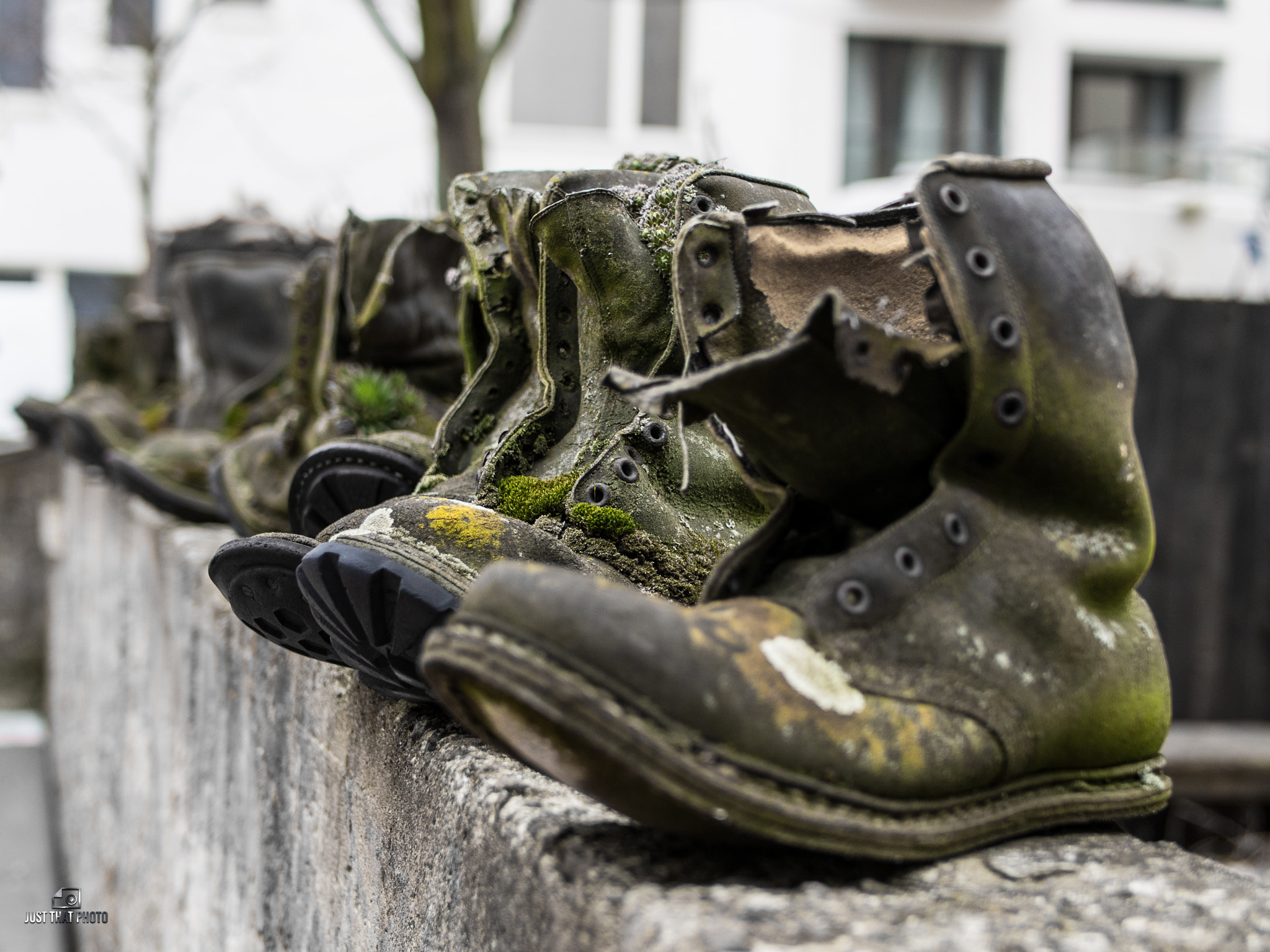 Olympus OM-D E-M5 + LUMIX G 25/F1.7 sample photo. These boots were made for walking.. photography