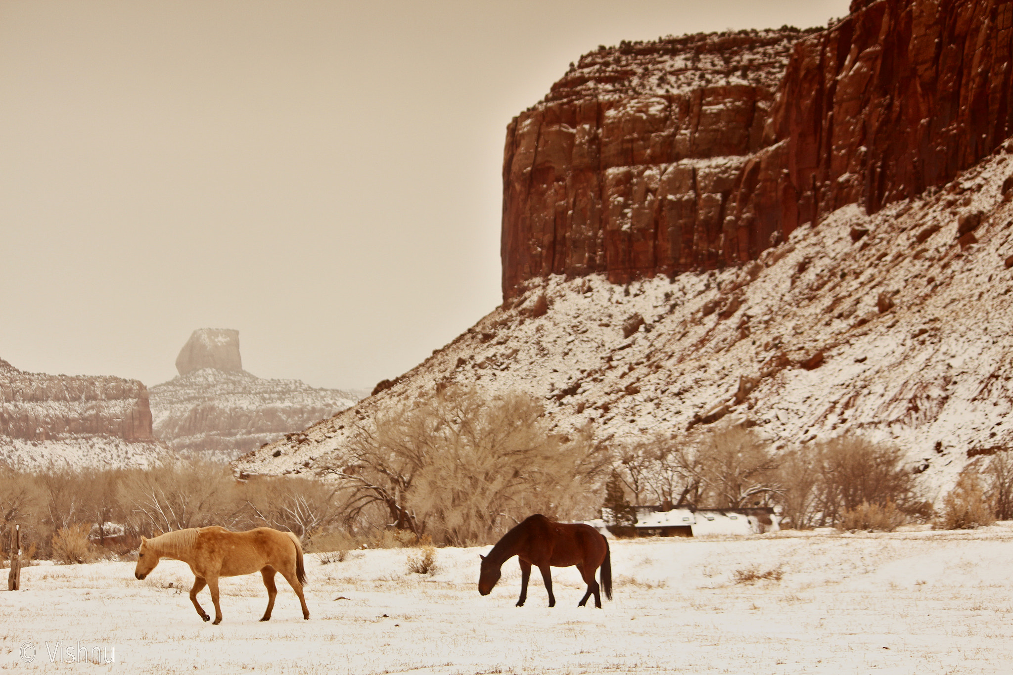 Canon EOS 650D (EOS Rebel T4i / EOS Kiss X6i) sample photo. The ranch in the needles photography