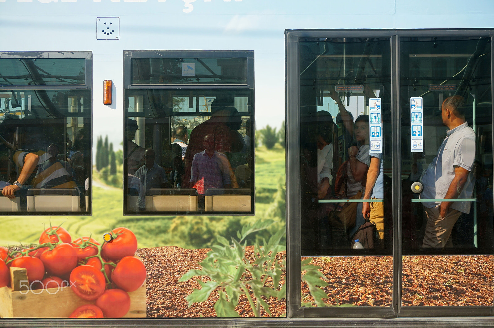 Sony E 16-50mm F3.5-5.6 PZ OSS sample photo. Favorites photography