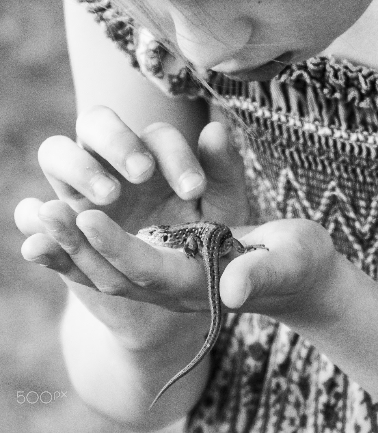 Nikon 1 V1 sample photo. Lizard photography