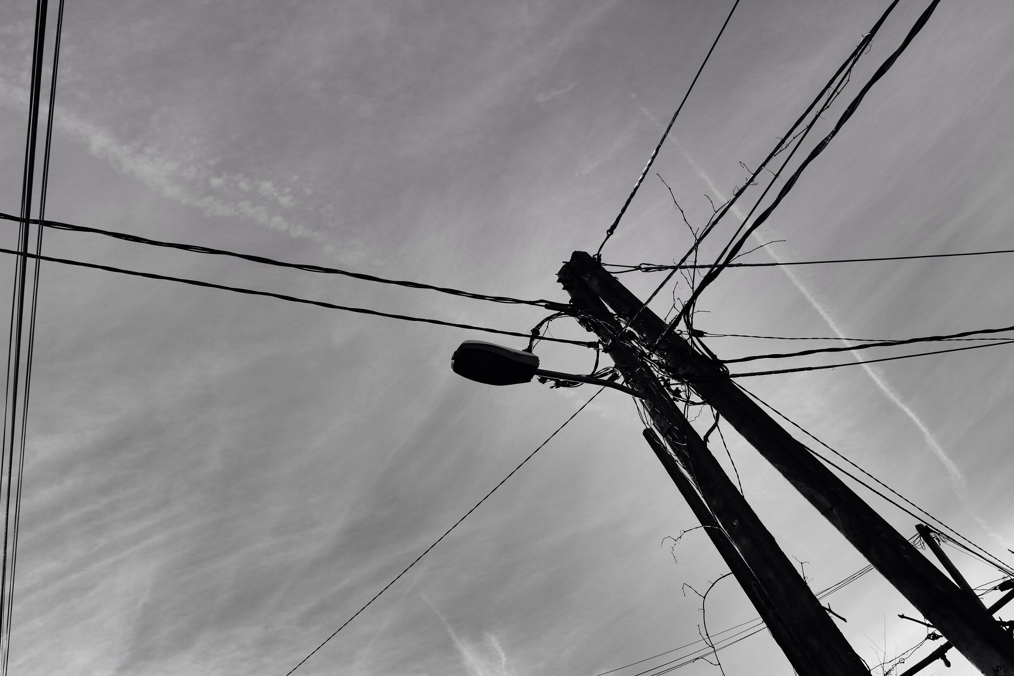 Canon EOS 7D + Canon 24-70mm sample photo. 23956776814.jpg photography