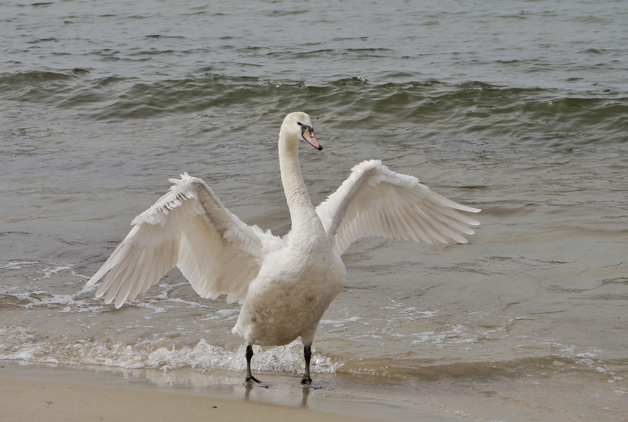 Panasonic Lumix DMC-G5 sample photo